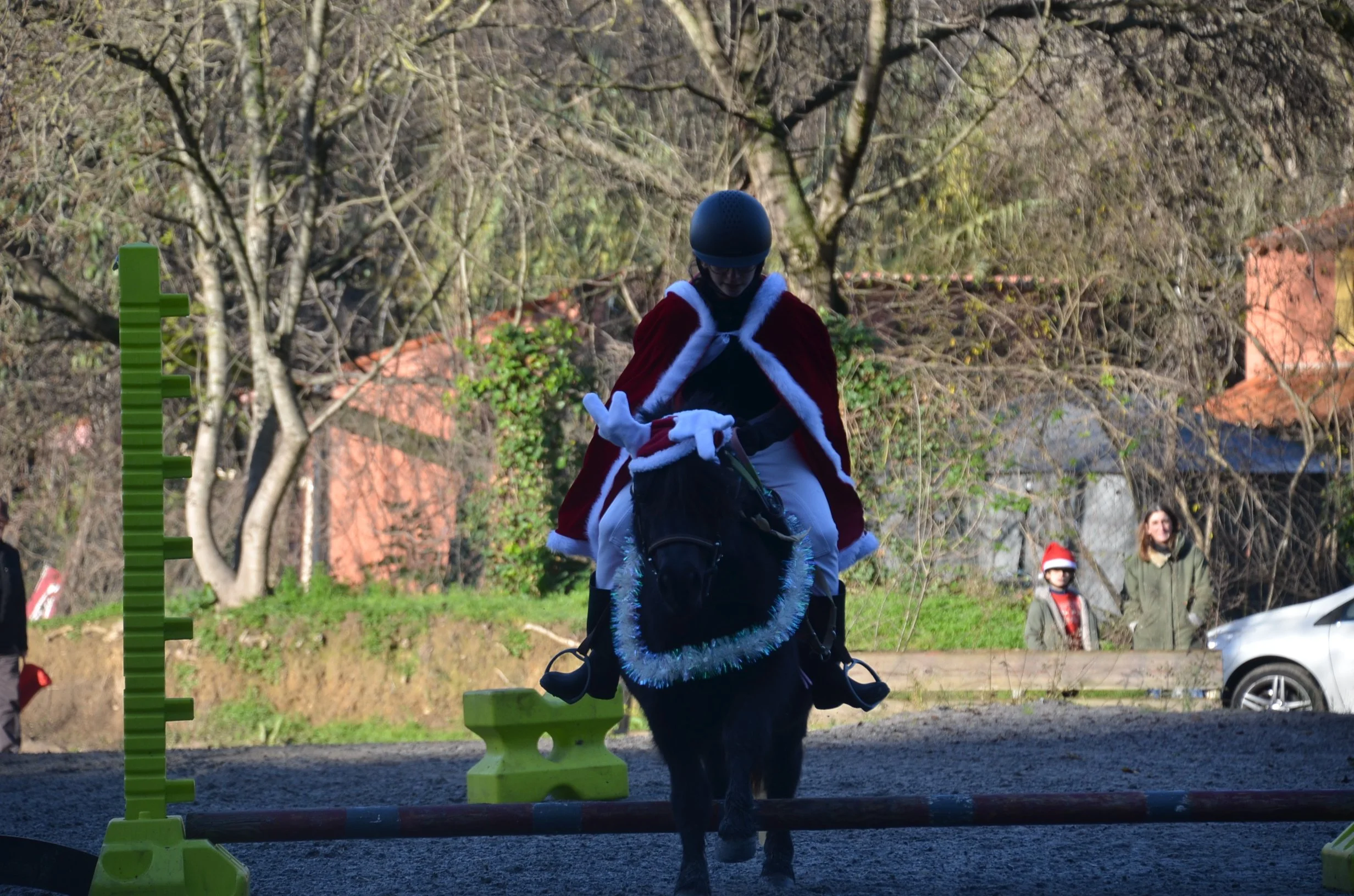 DSC_2320.JPG