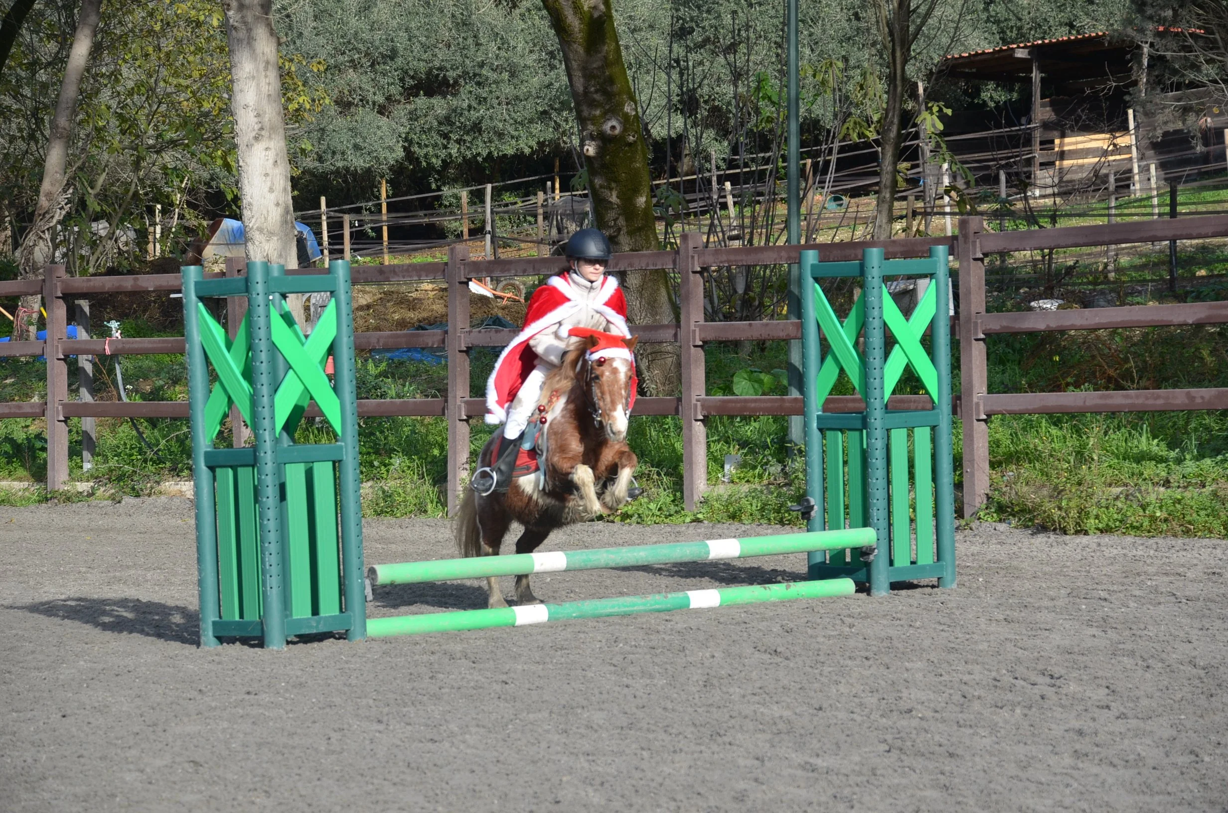 DSC_2367.JPG