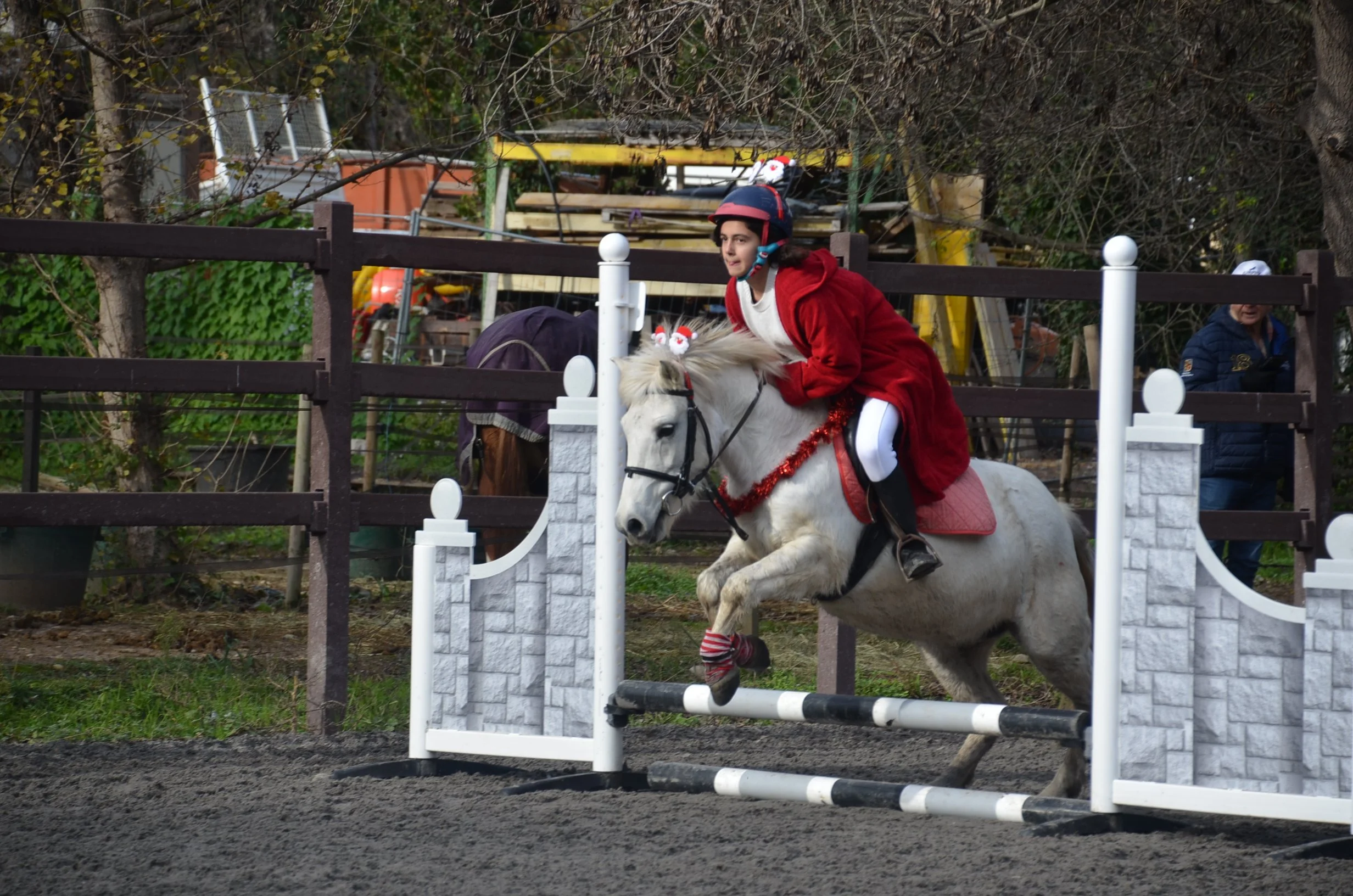 DSC_2447.JPG