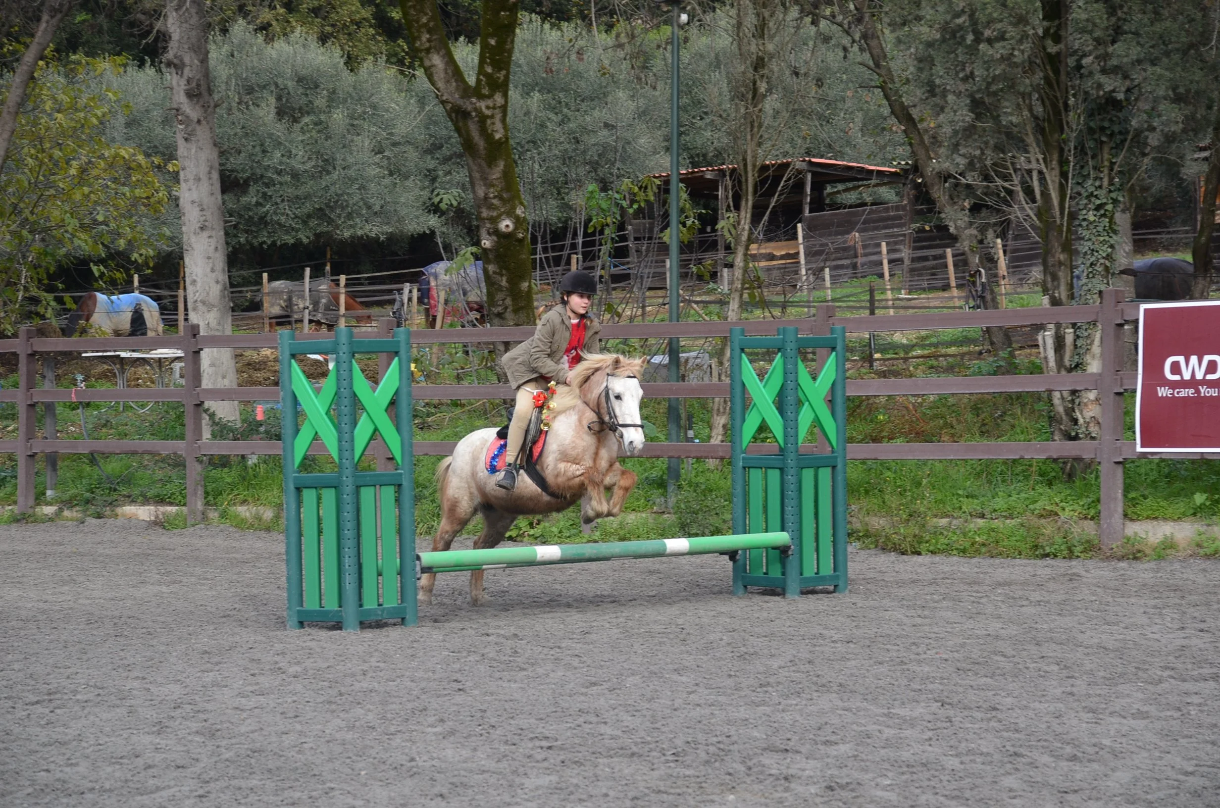DSC_2489.JPG