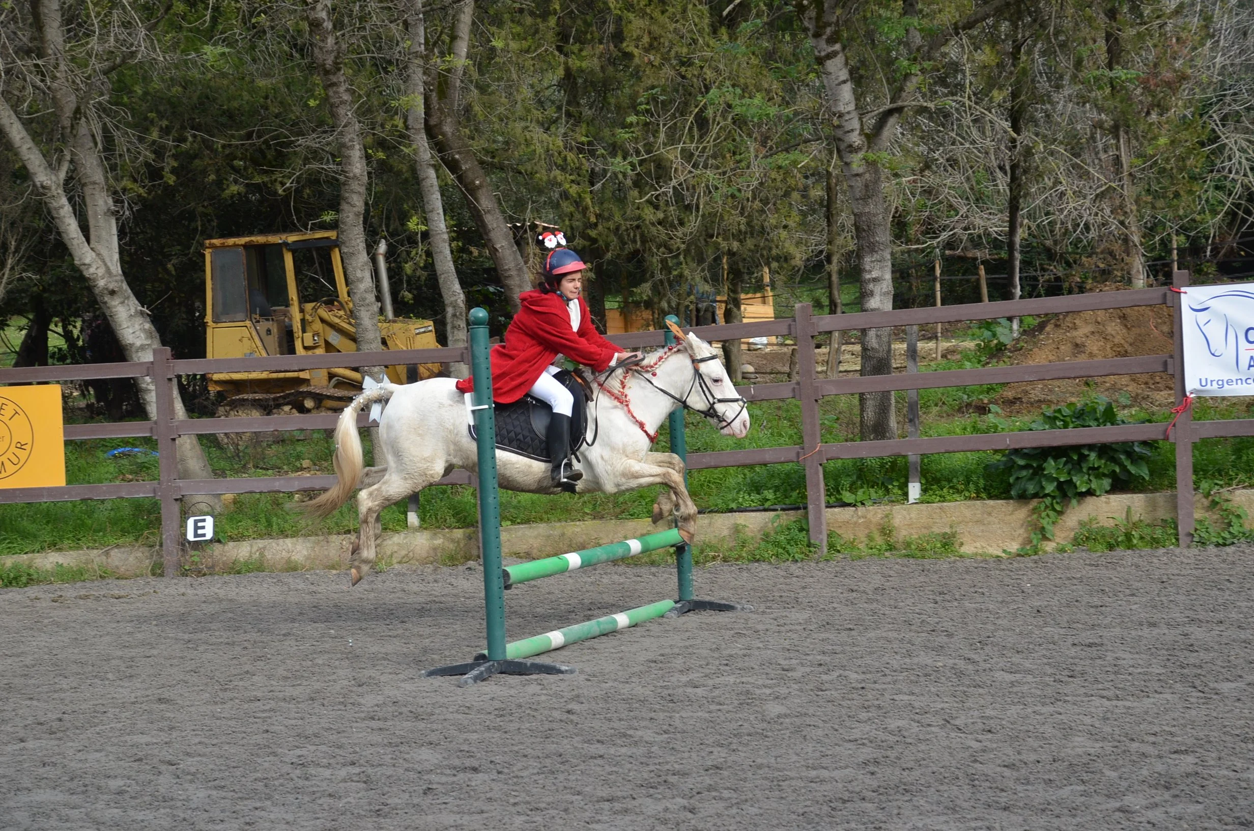 DSC_2572.JPG
