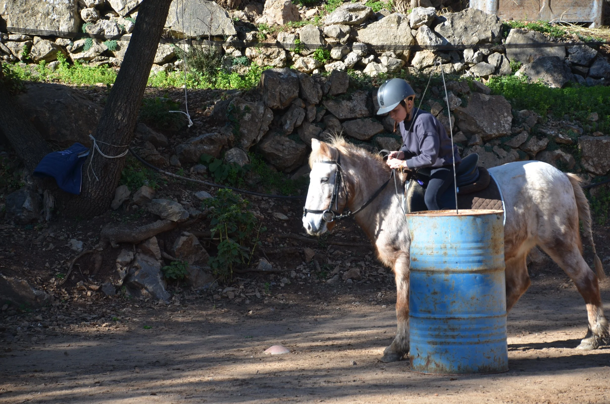 DSC_1901.JPG