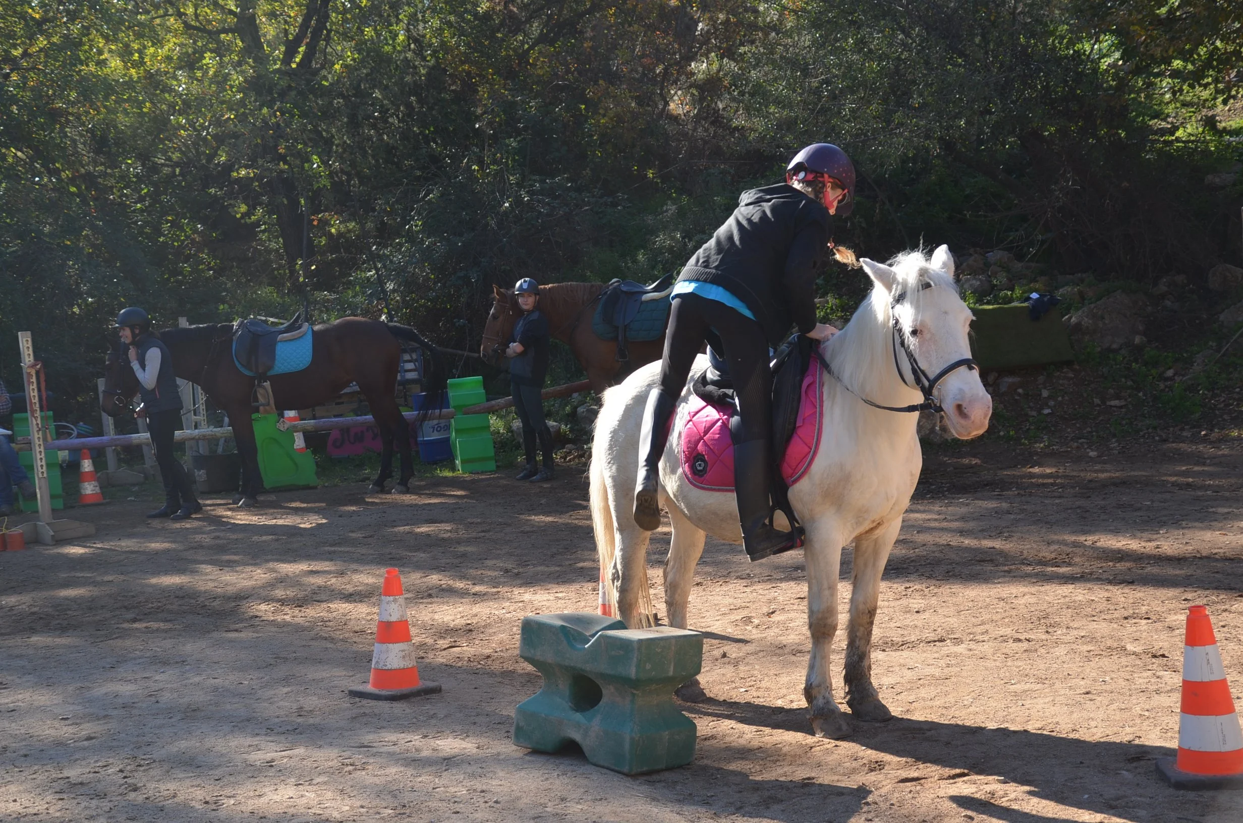 DSC_1920.JPG