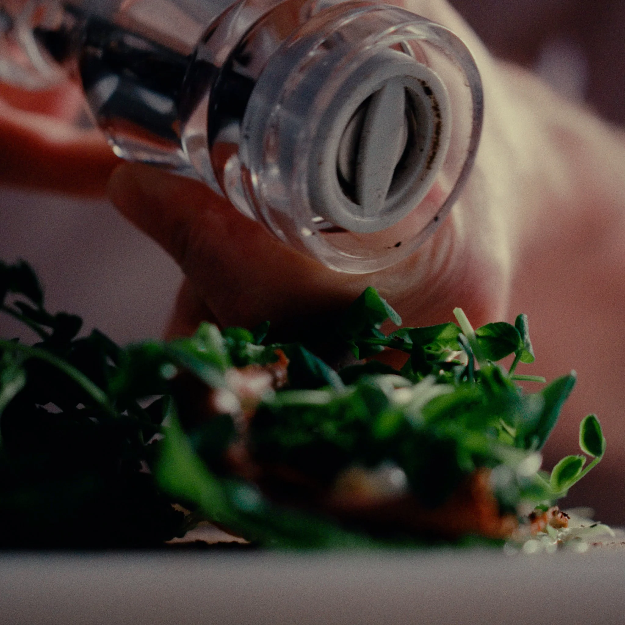 1X1_SANDWICH_30S.00_00_16_13.Still007.jpg