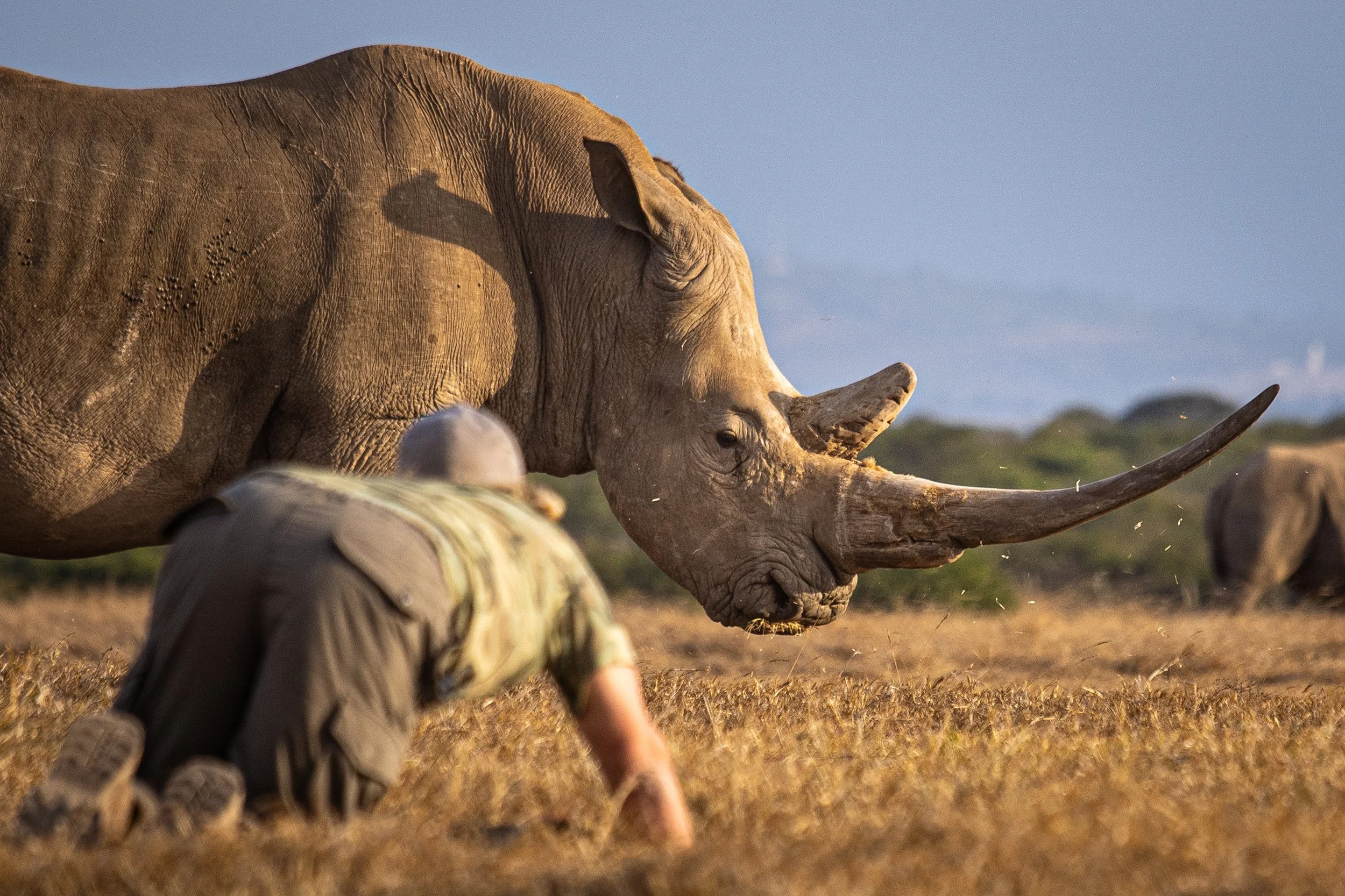 20230724_Björn Persson in Solio_Kenya_Duncan Moore_1855.JPG