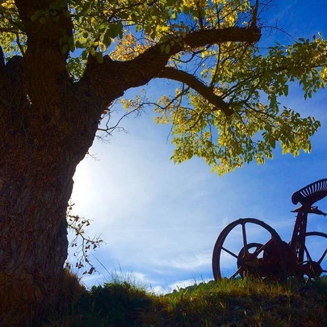 Ch&acirc;teau Simone