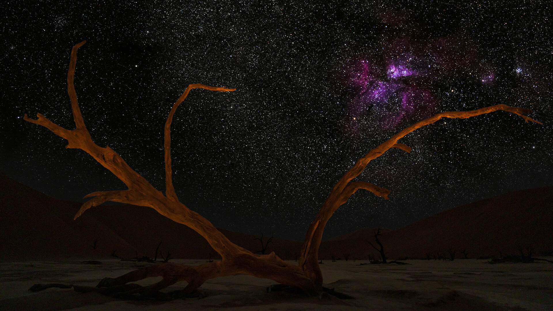 Deadvlei - Namibia
