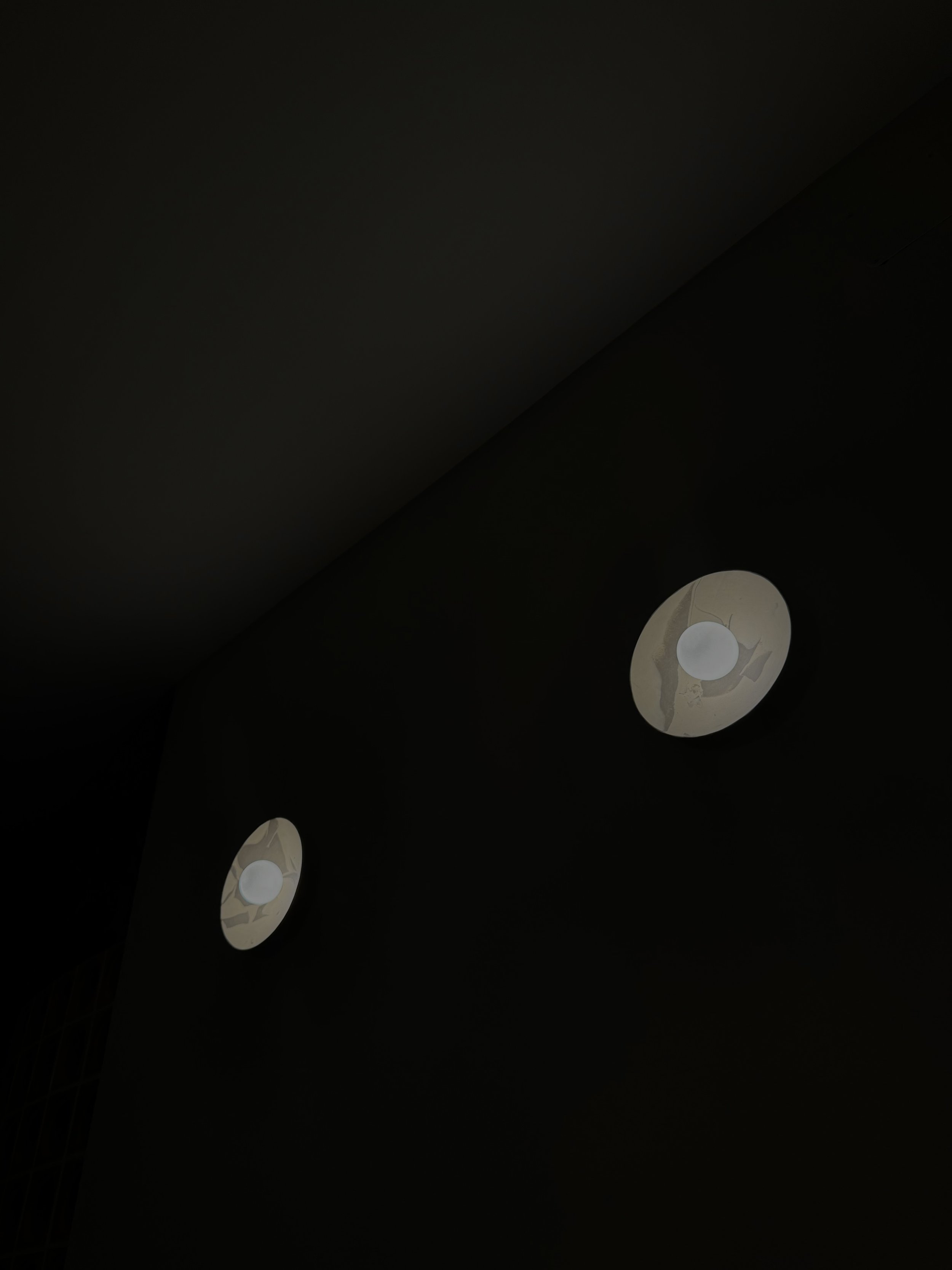 IMG_3317.jpeg