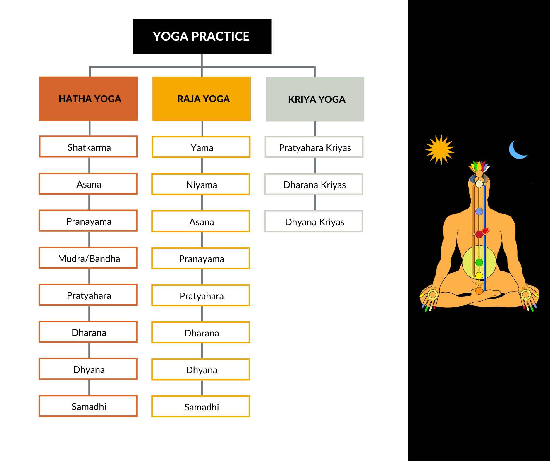 Yoga Branches.png