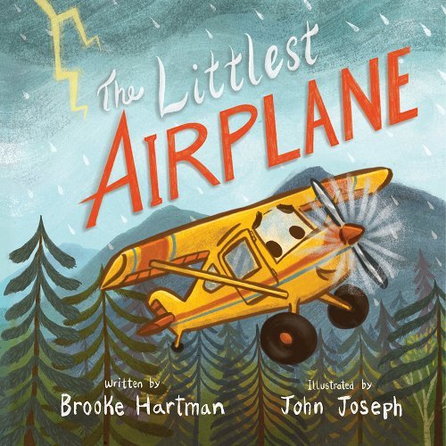 littlest airplane cover.jpeg