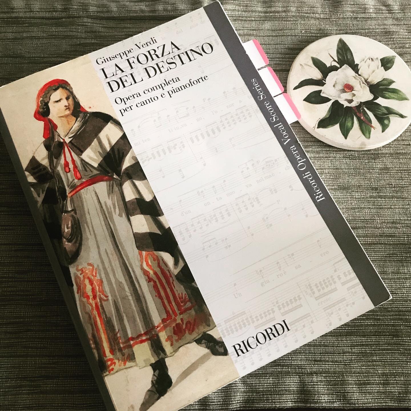 I hope everyone is enjoying the final few weeks of summer! I'm happy to share that I'll be singing the role of Curra in the Atlantic Coast Opera Festival's production of La Forza del Destino. If you're in the Philadelphia area, come out and see our s