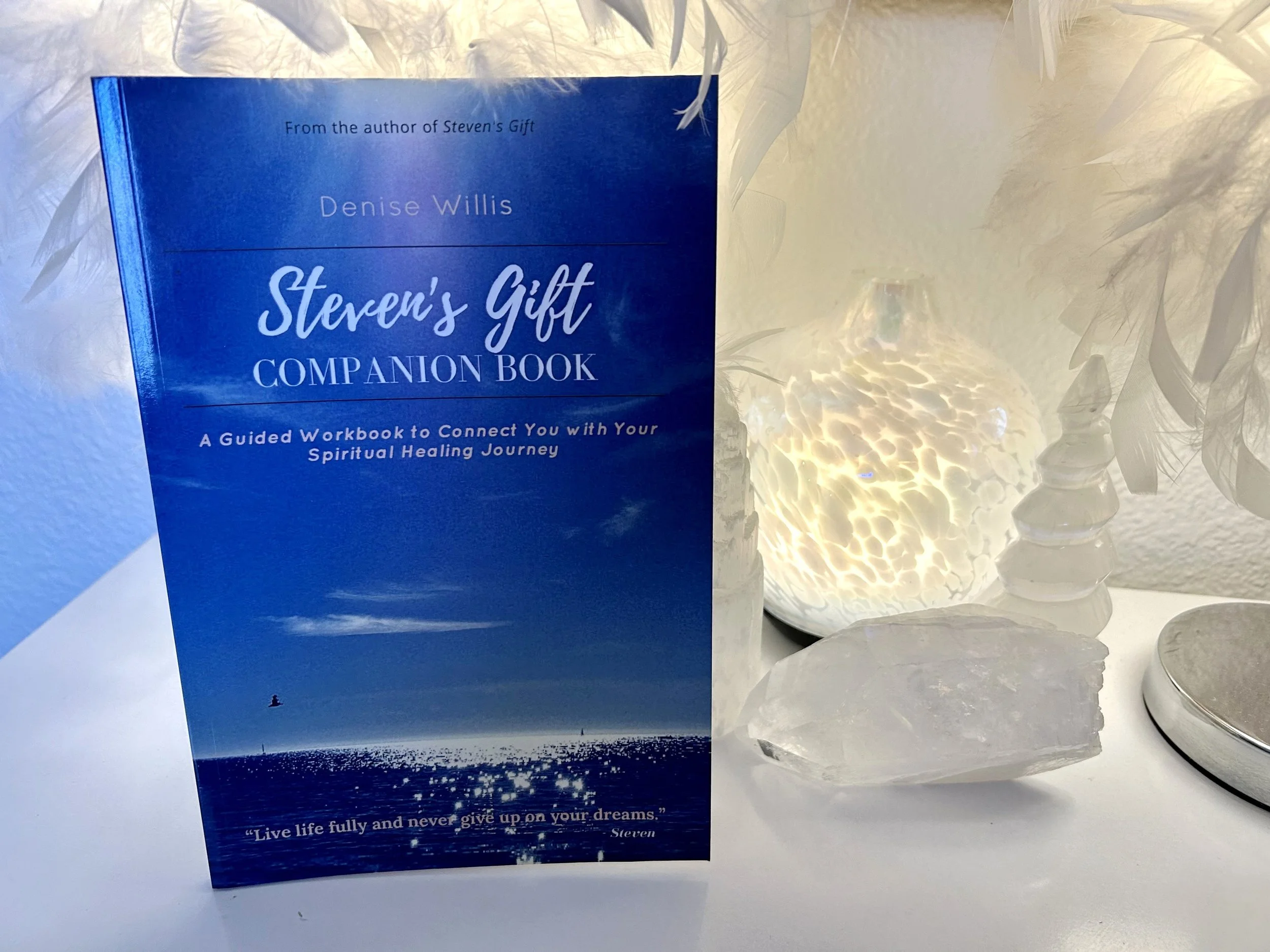 Steven's Gift Companion Book