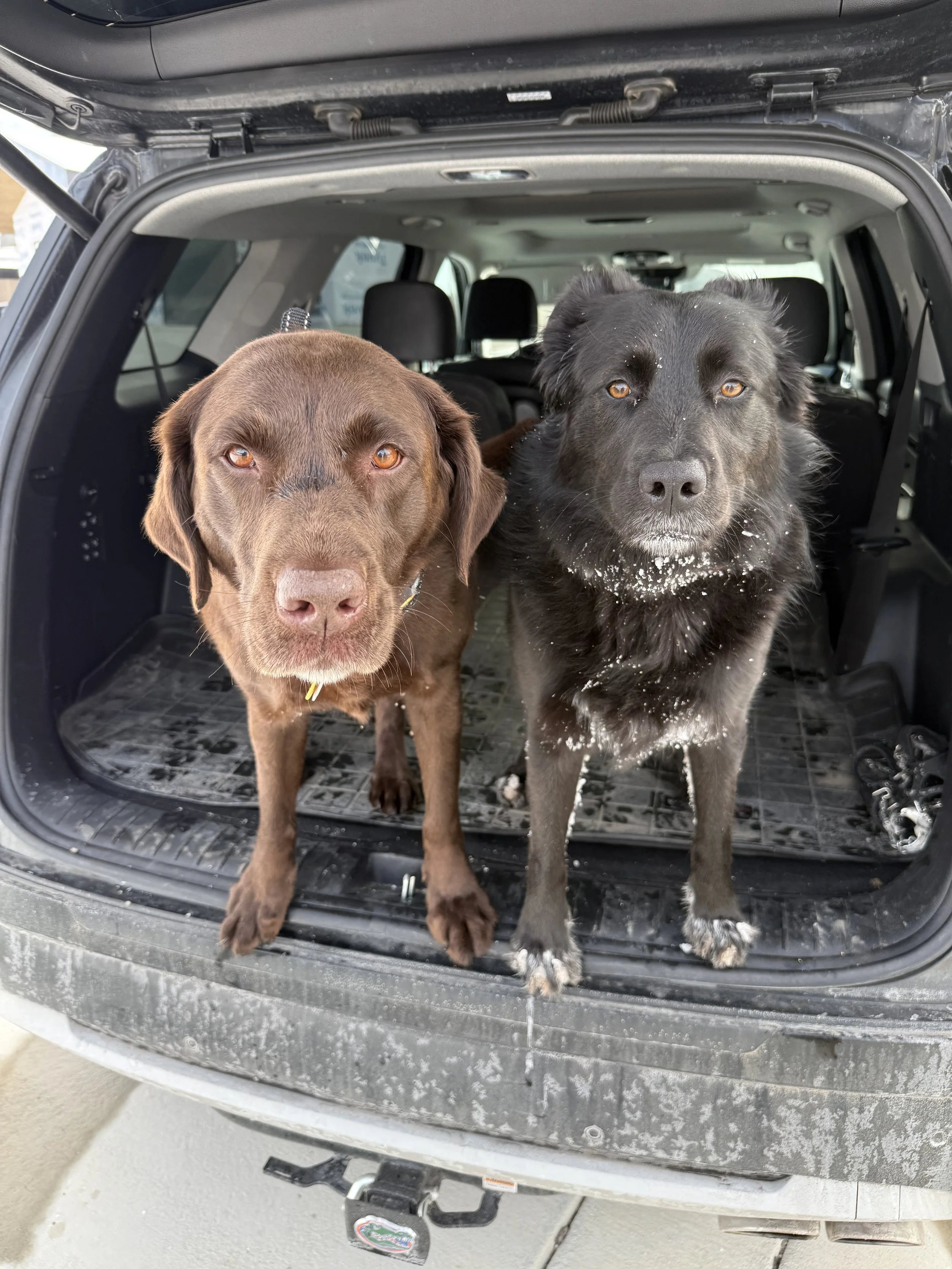 Denver & Zoe (3).jpg