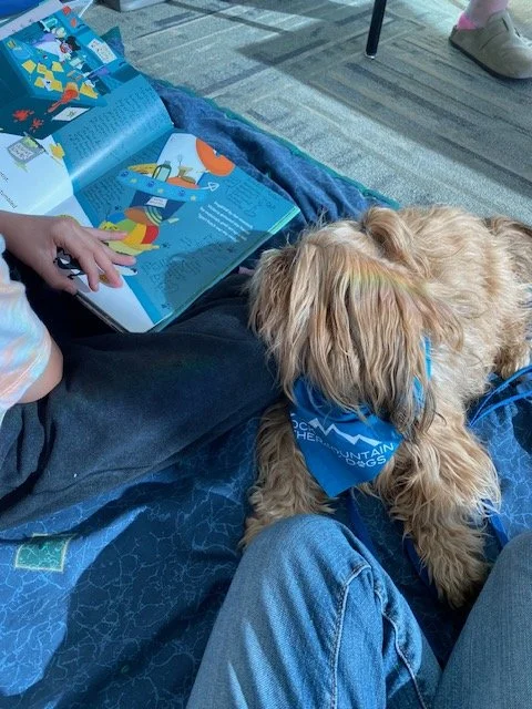 Teddy M Library (2).jpg