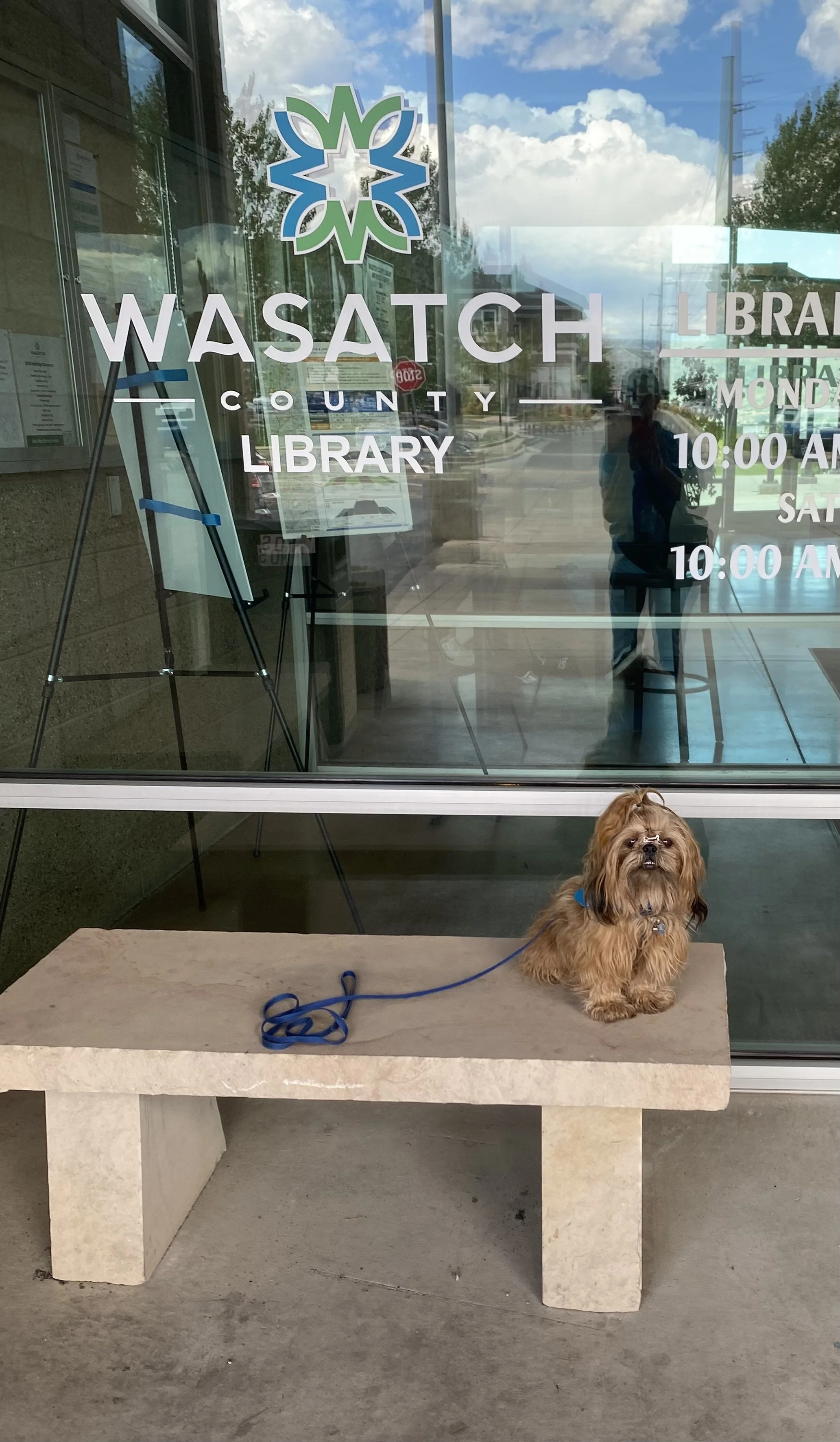 Teddy M Library (3).jpg