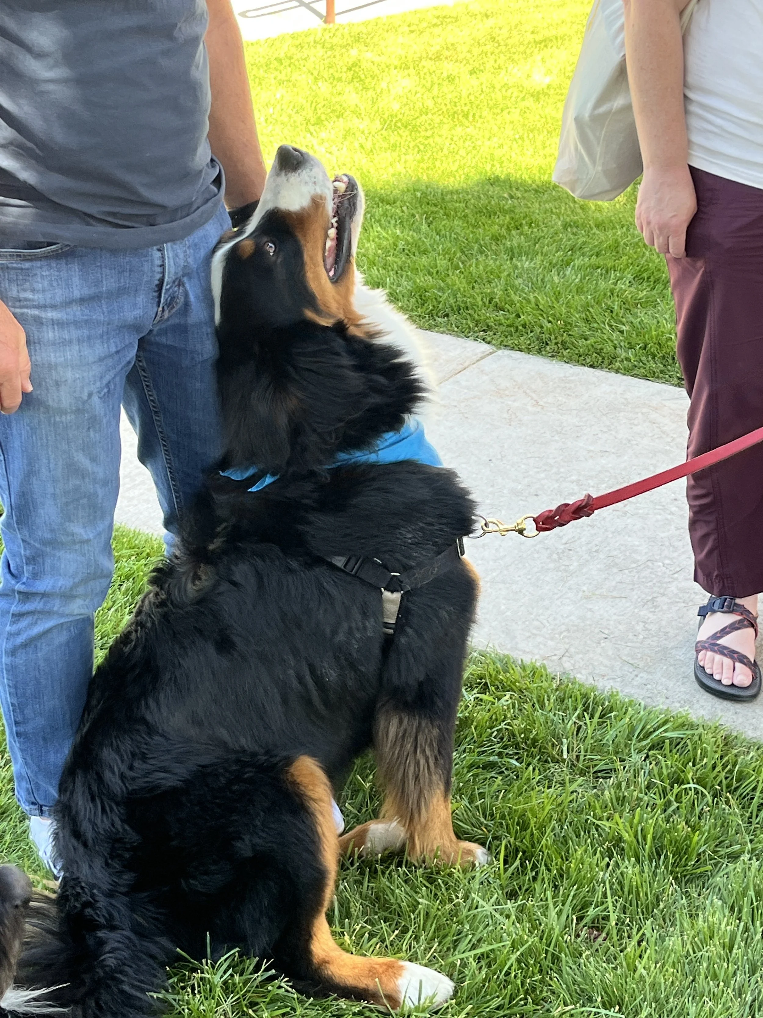 Bennett 6-14-25 Farmers Market (32).jpg