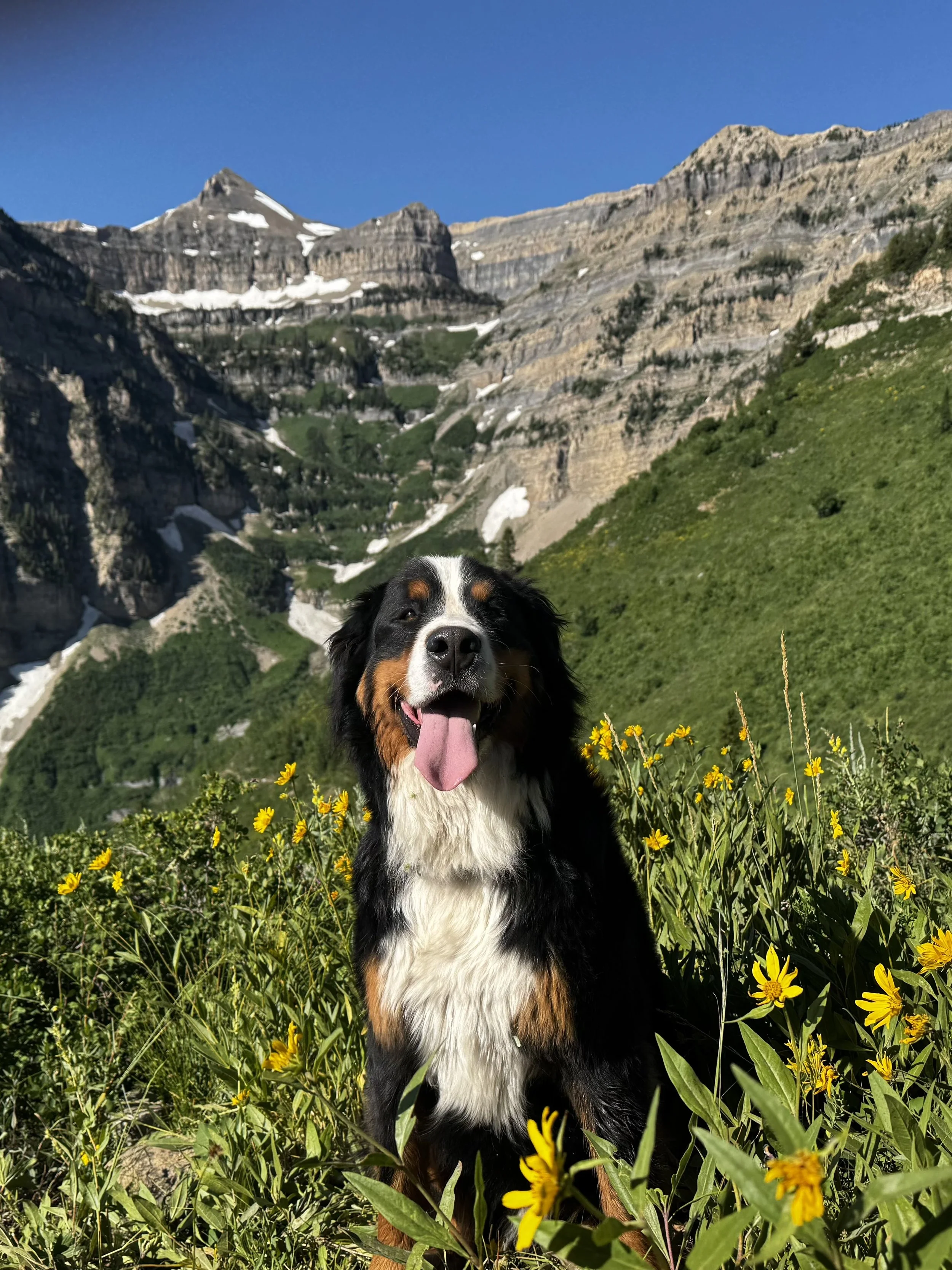 Bennett mountain 6-30-25.jpg