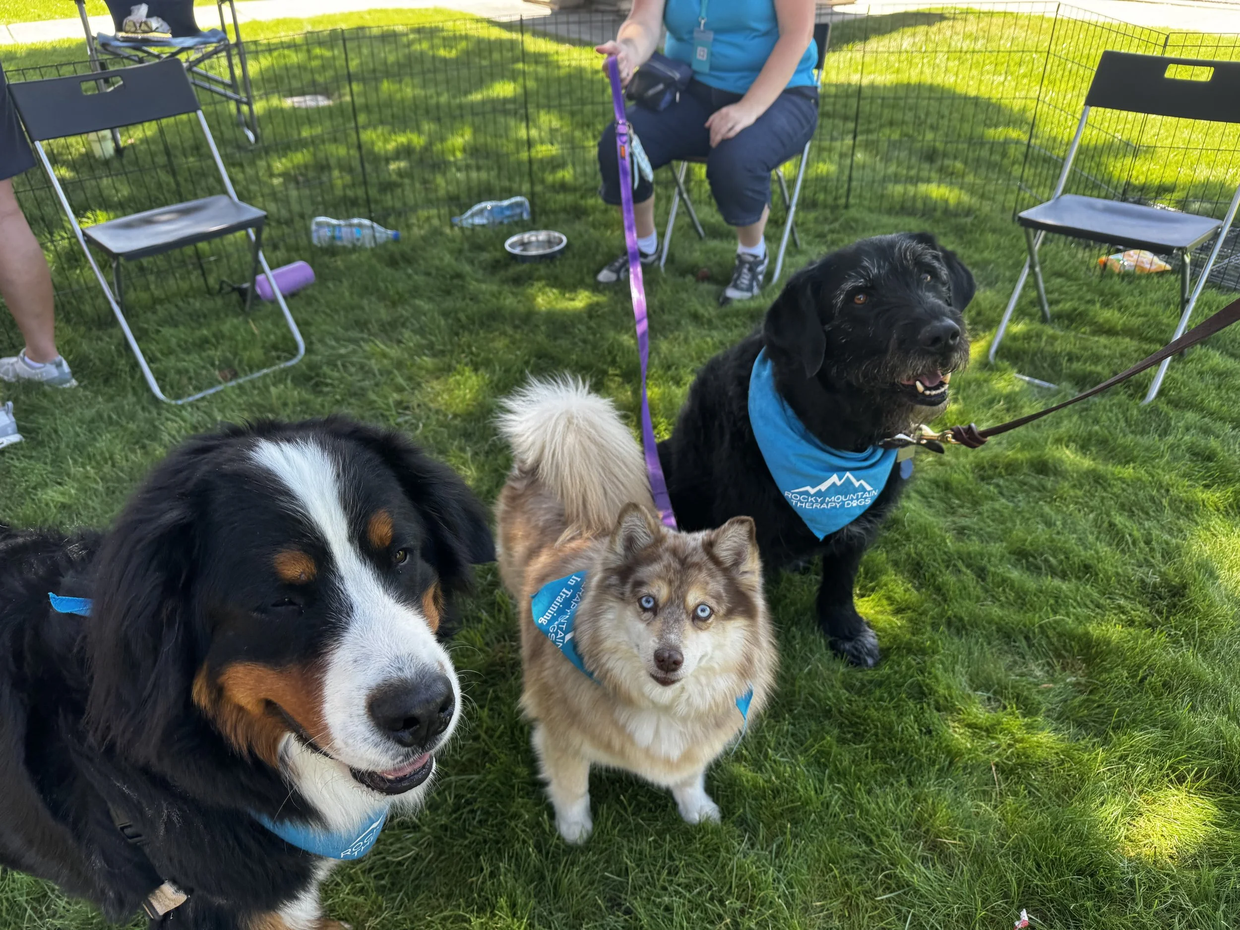 Bennett 10-14-25 Farmers Market (2).jpg