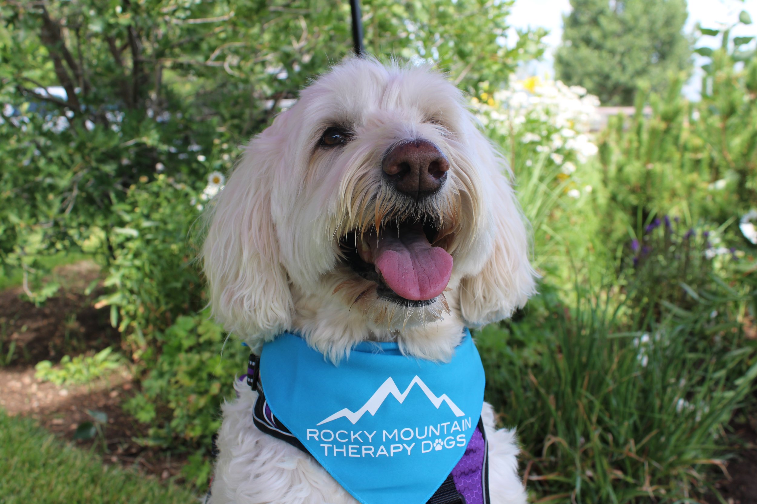 7-19-25 Testing Day Marlie (2).JPG