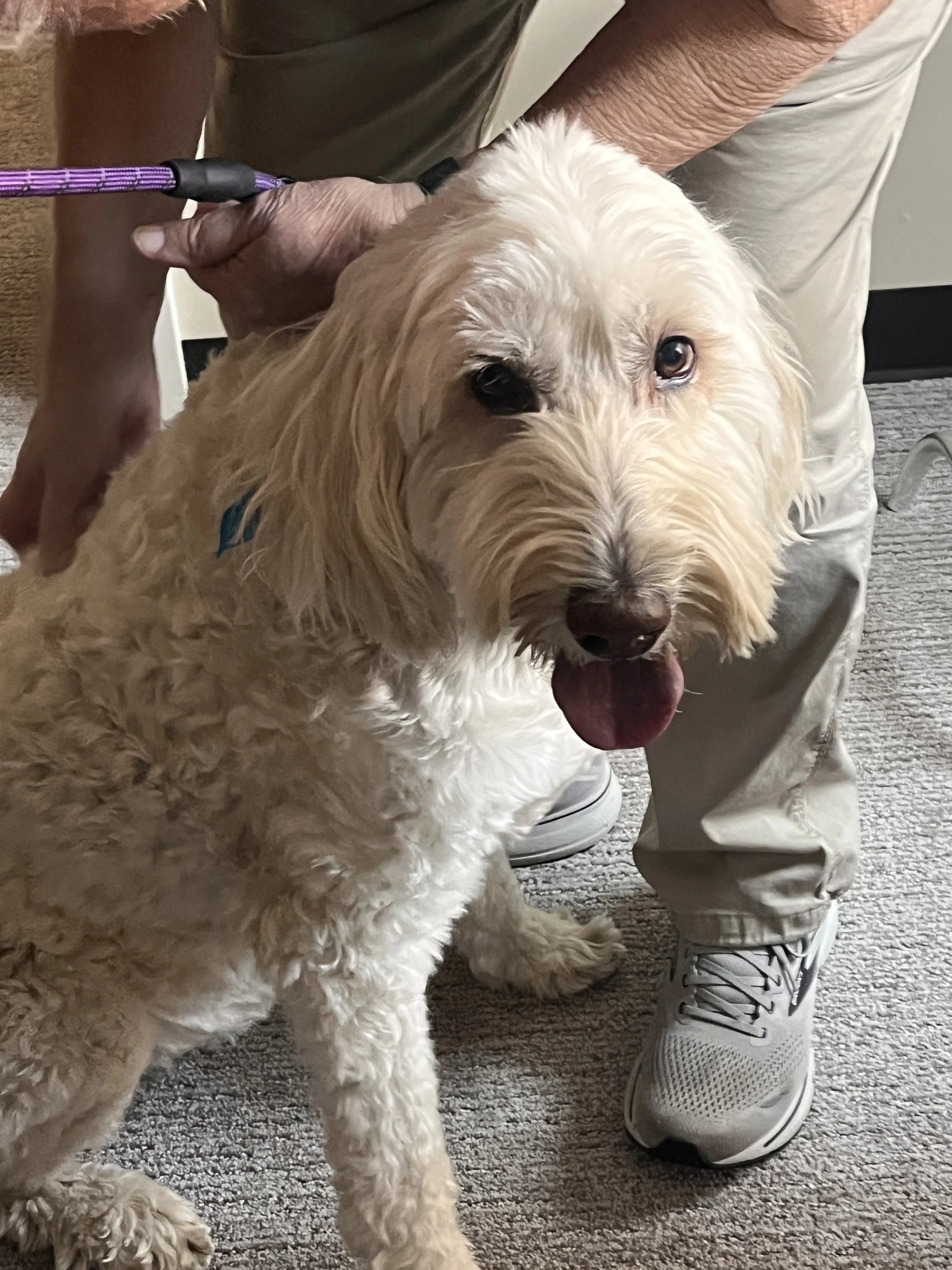 9-8-25 Marlie Nursing Home (2).jpg