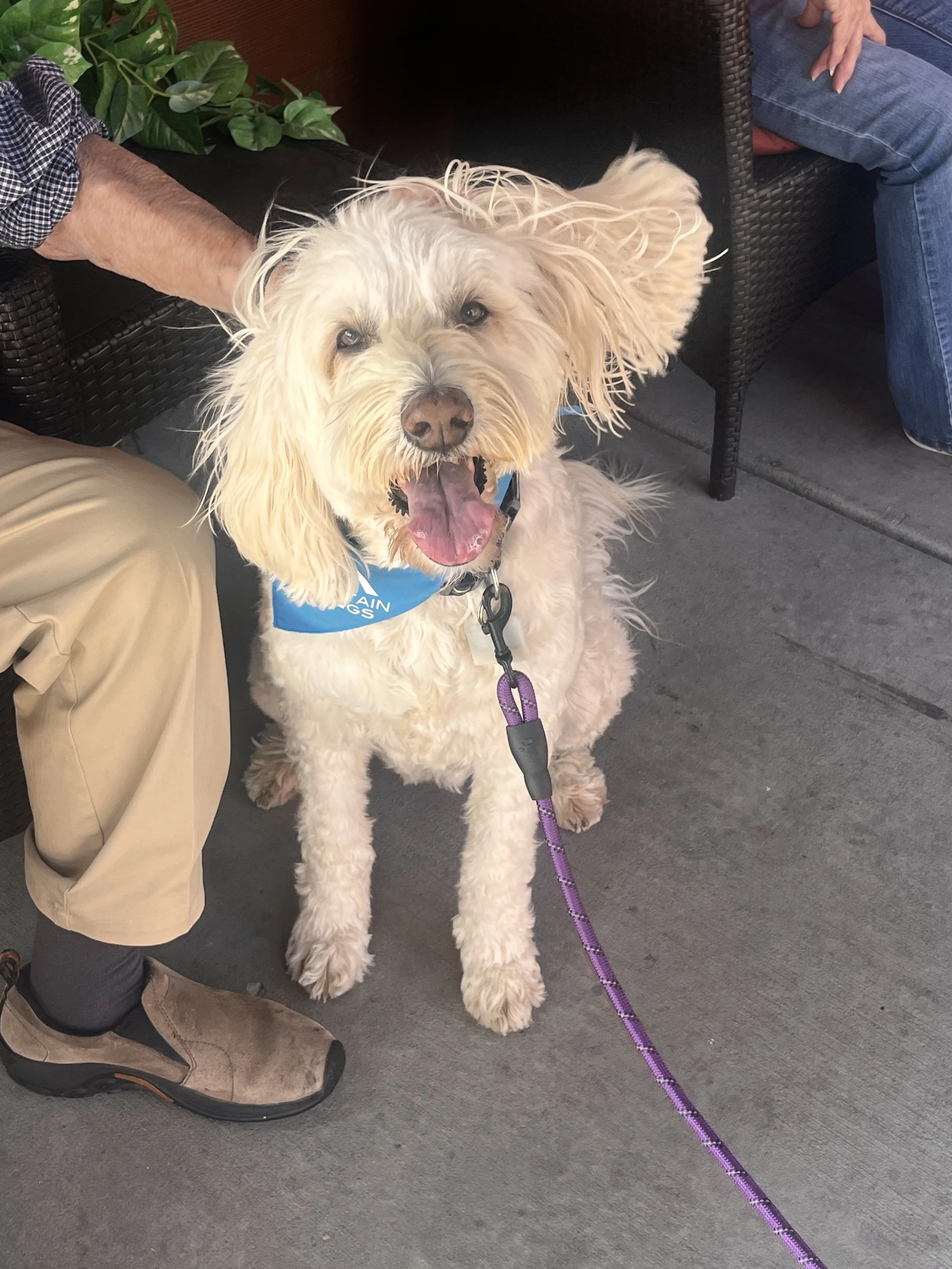 9-8-25 Marlie Nursing Home.jpg