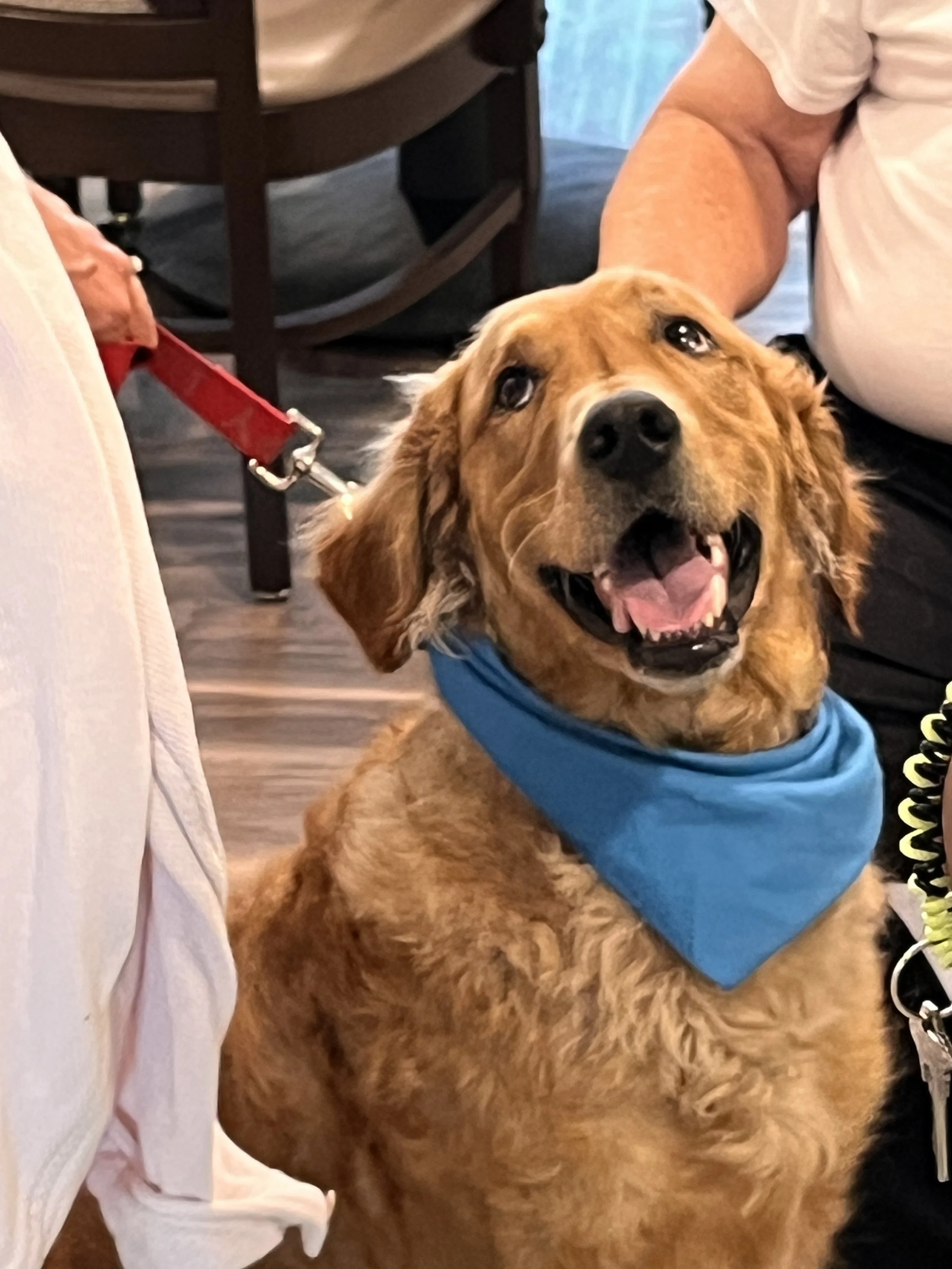 George nursing home (6).jpg