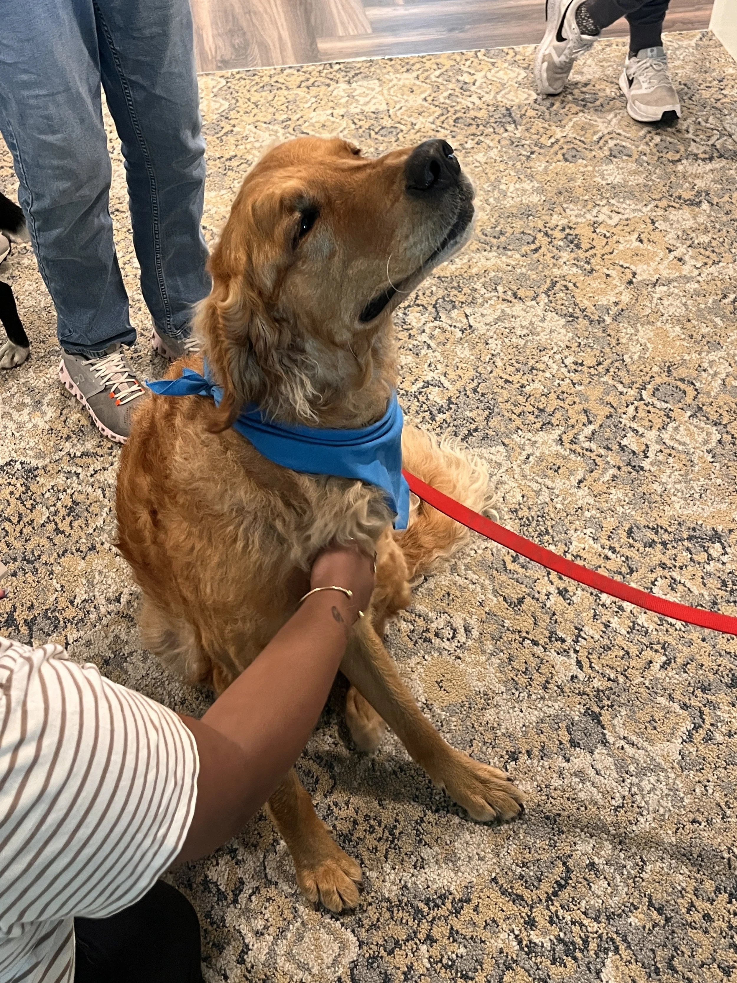 George nursing home (4).jpg