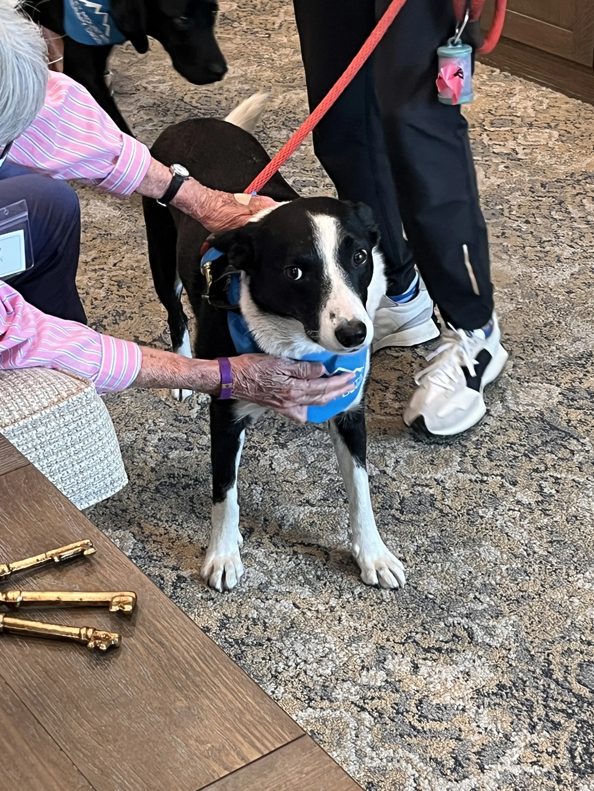 Kirby nursing home (12).jpg