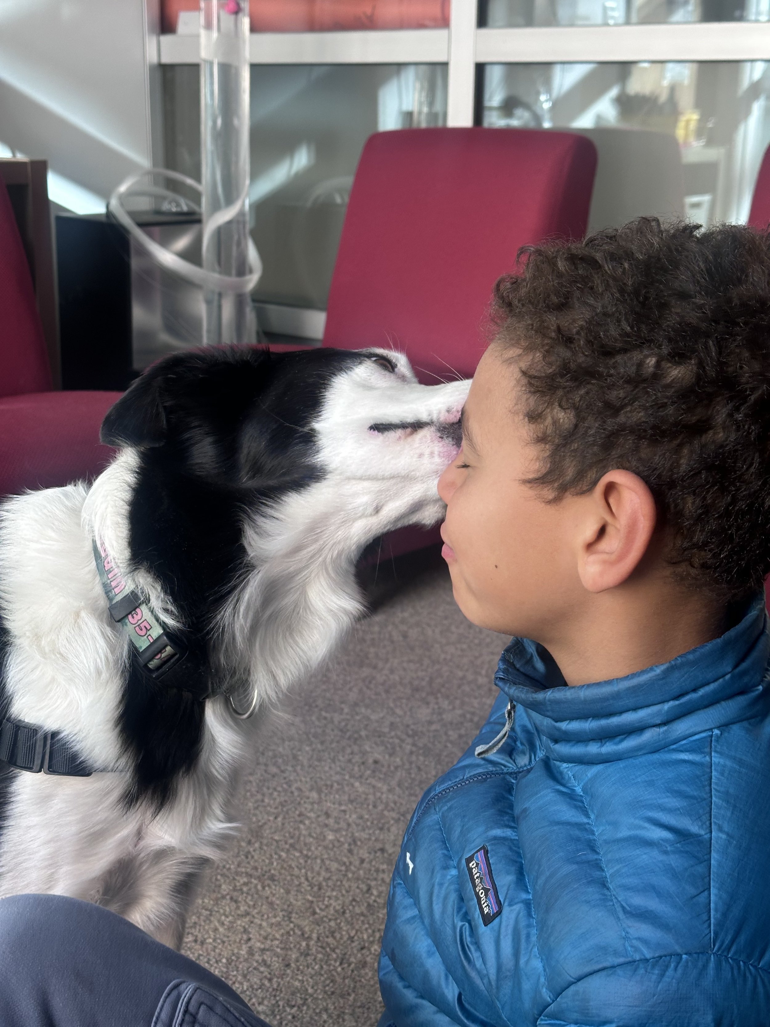 Penguin 10-21-25 (2).jpg