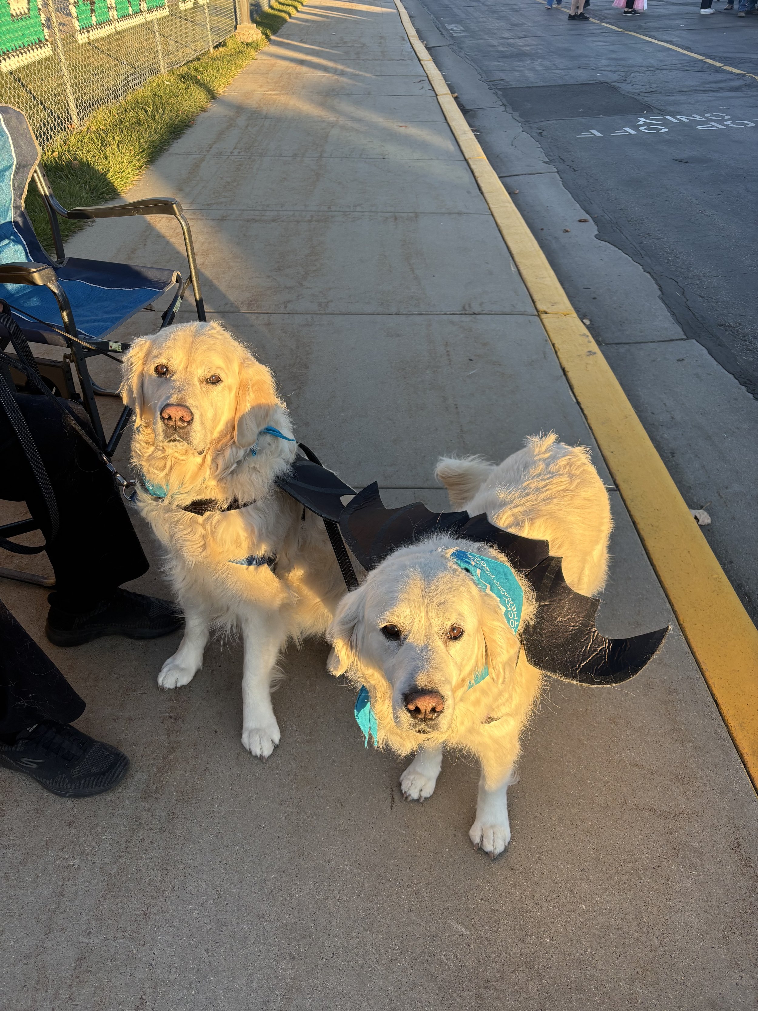 Finn & Sophie Halloween 10-27-25 Summit Elem (4).jpg