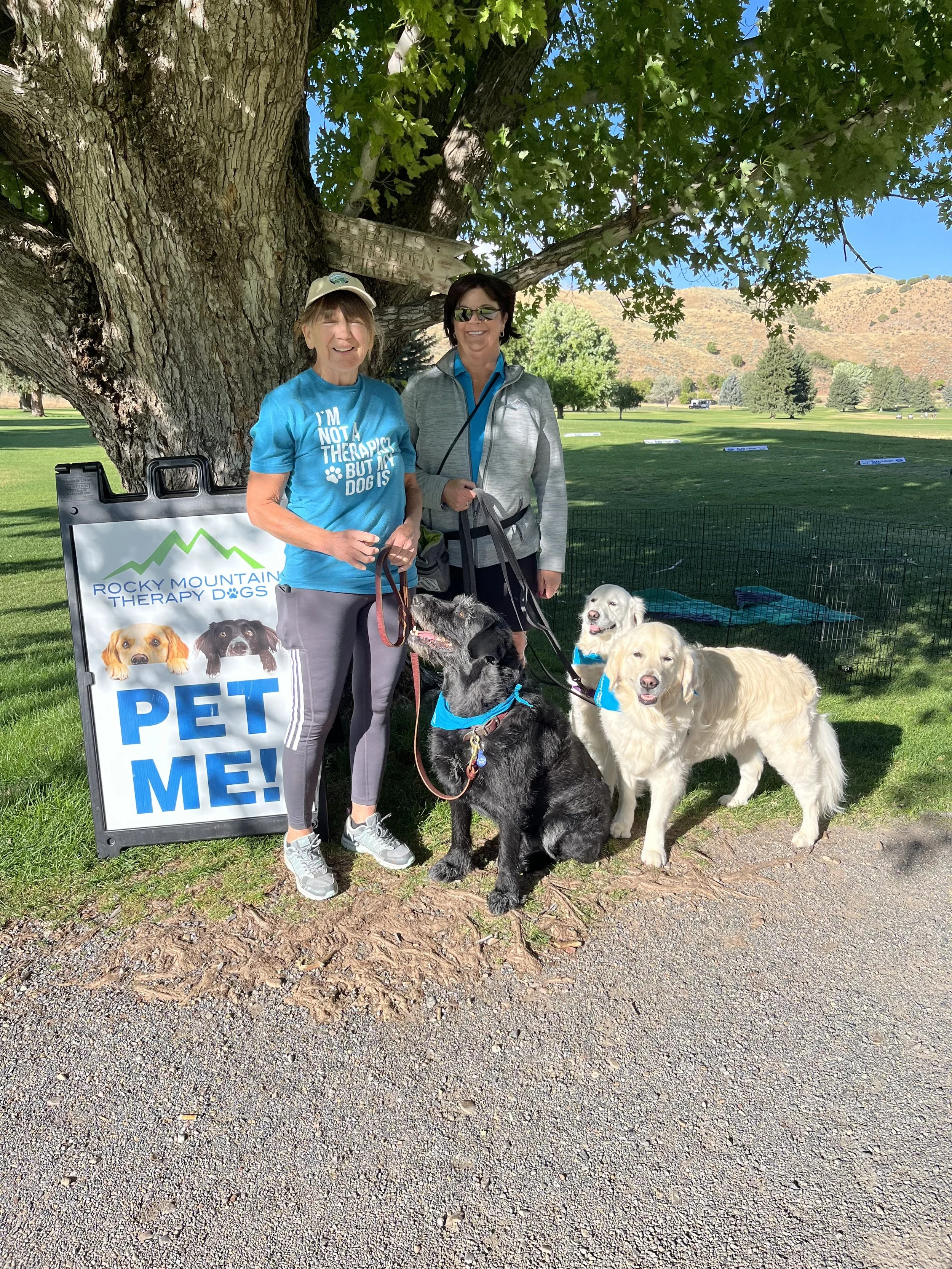 Finn, Sophie, Griff.jpg