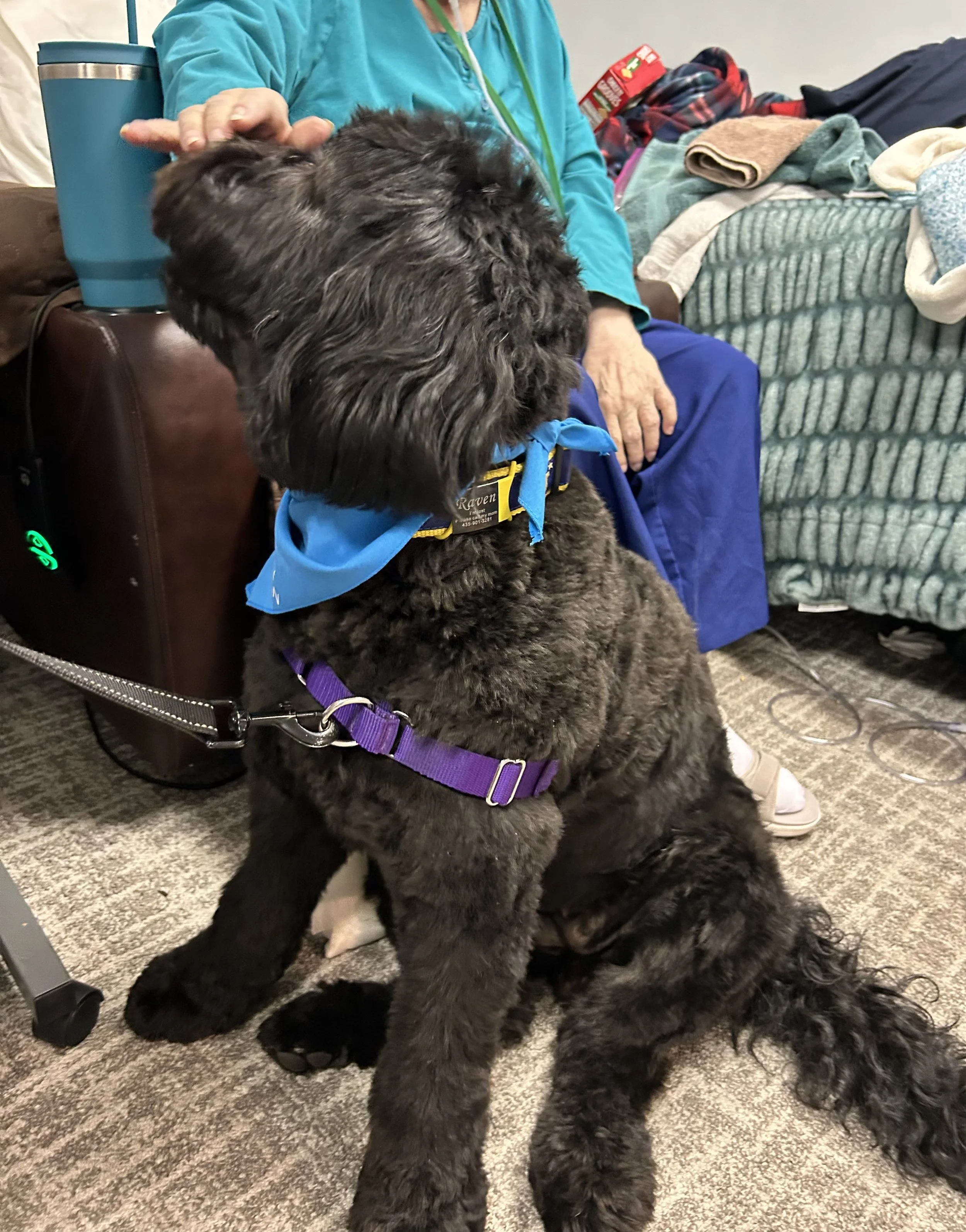 Raven nursing home (2).jpg