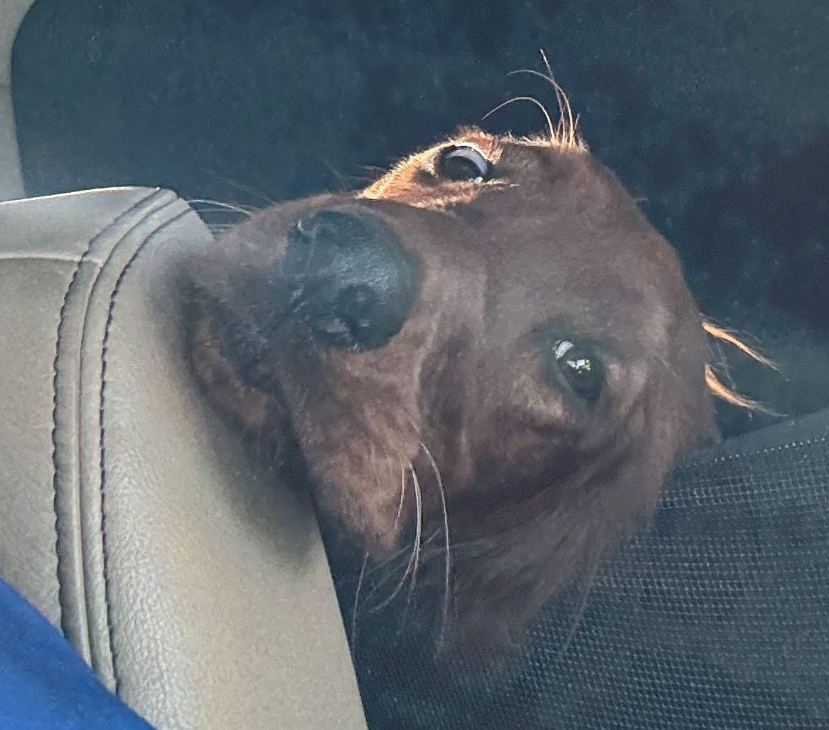 Mim (42) crop.jpg