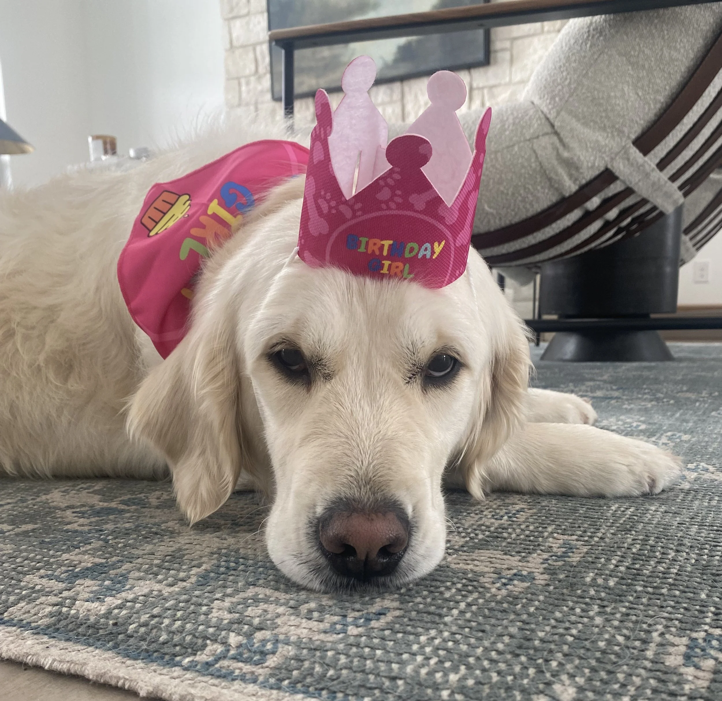 Rosie (9) crop.jpeg