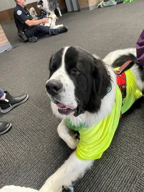 Clyde (10).jpeg