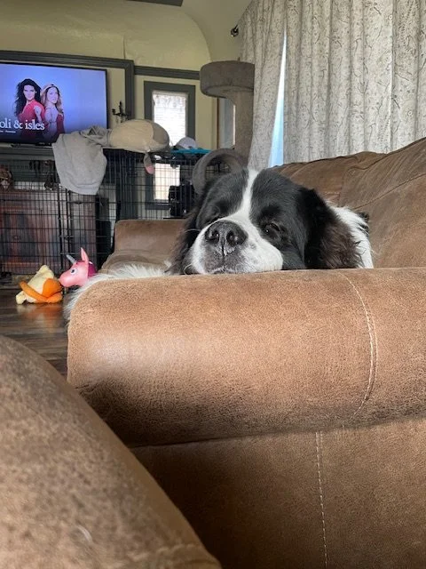 Clyde (24).jpeg