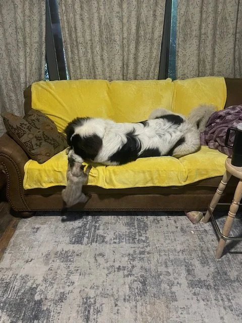 Clyde (54).jpeg