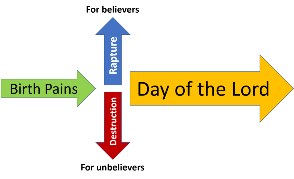 What Does the Bible Say About End-Time Birth Pains?