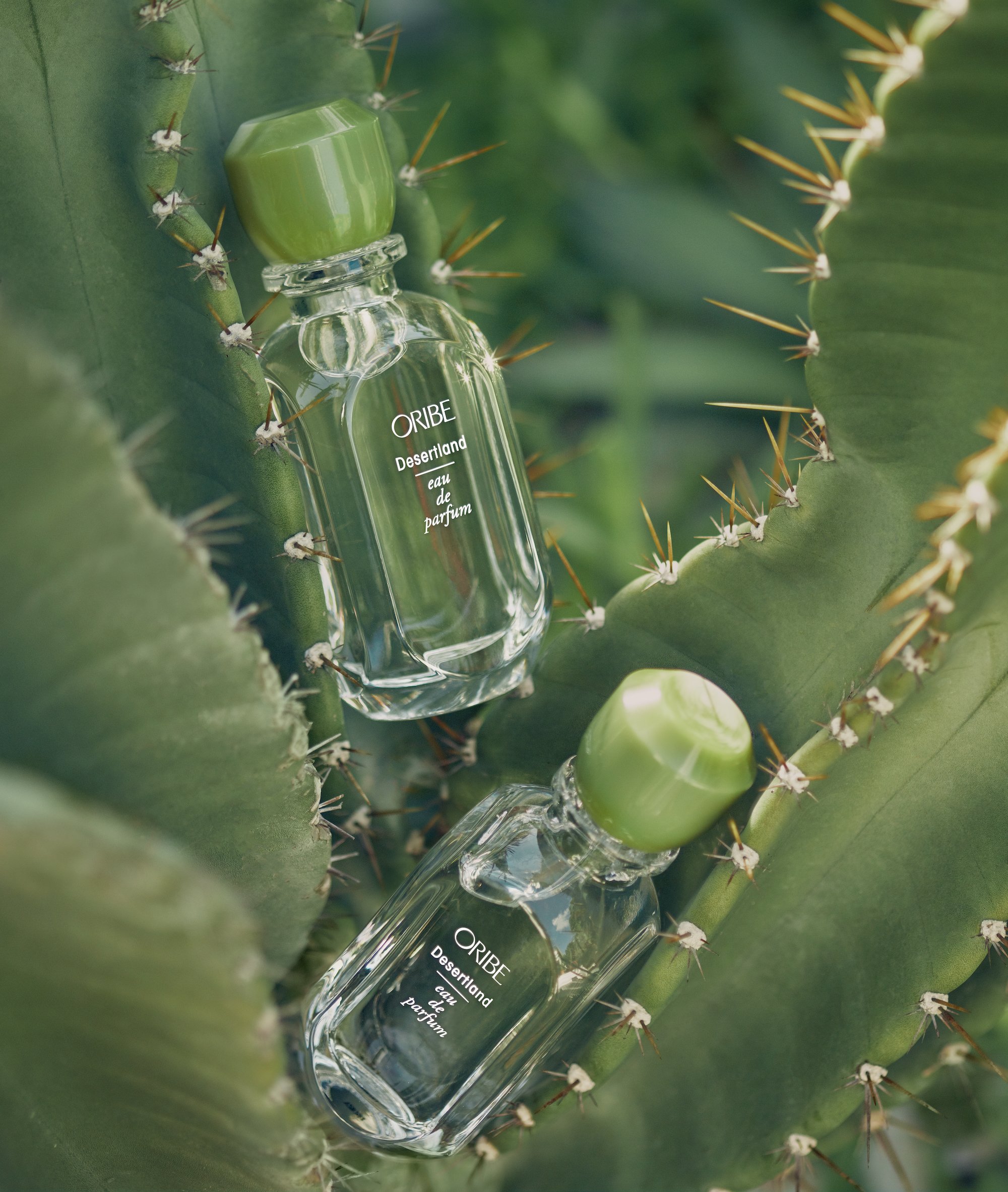 20210517_ORIBE_FRAGRANCE__0227 small.jpeg
