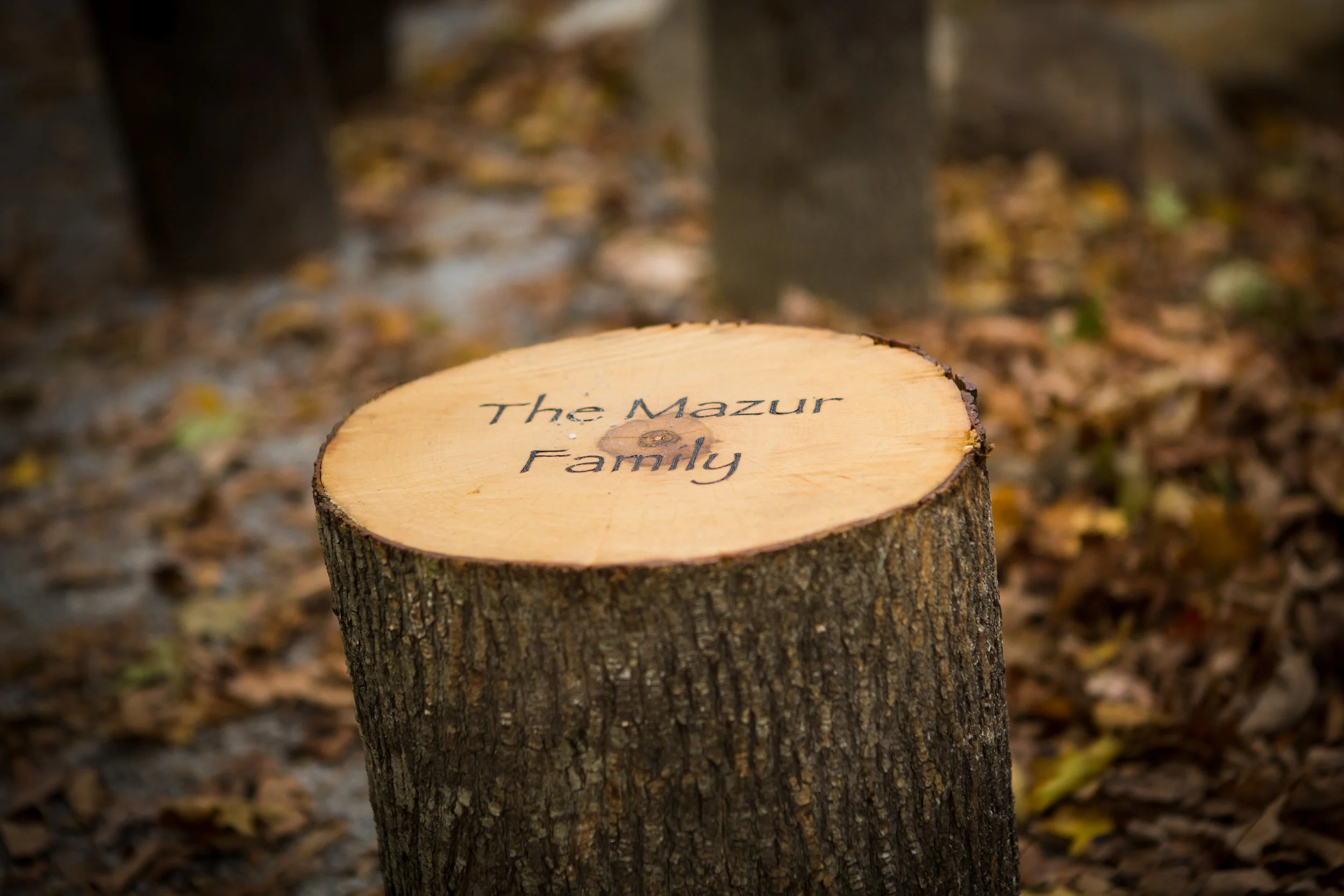 The Mazur Family Stump.jpg