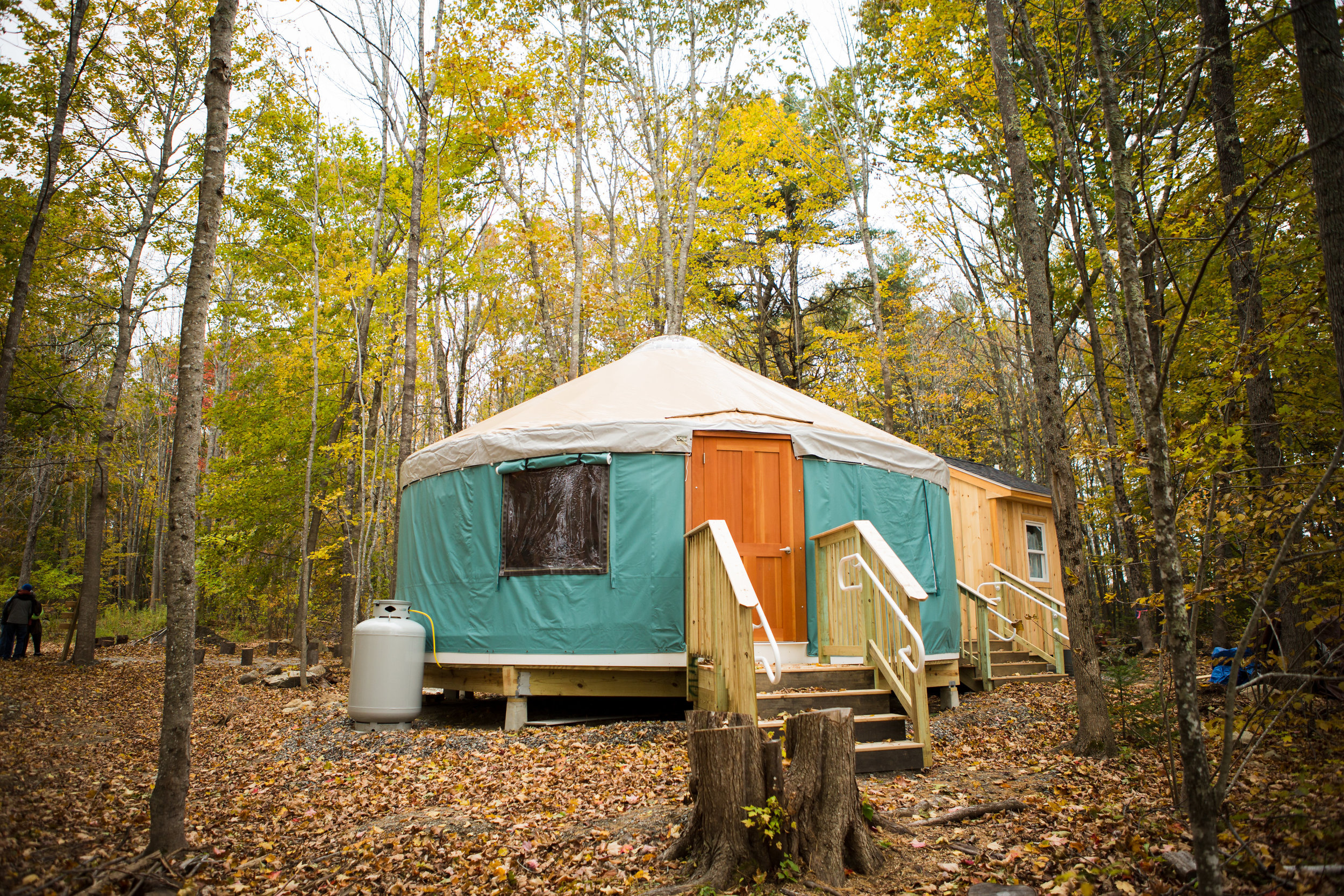Yurt from the back.jpg