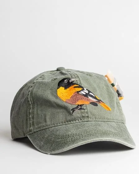 Baltimore Oriole.jpg