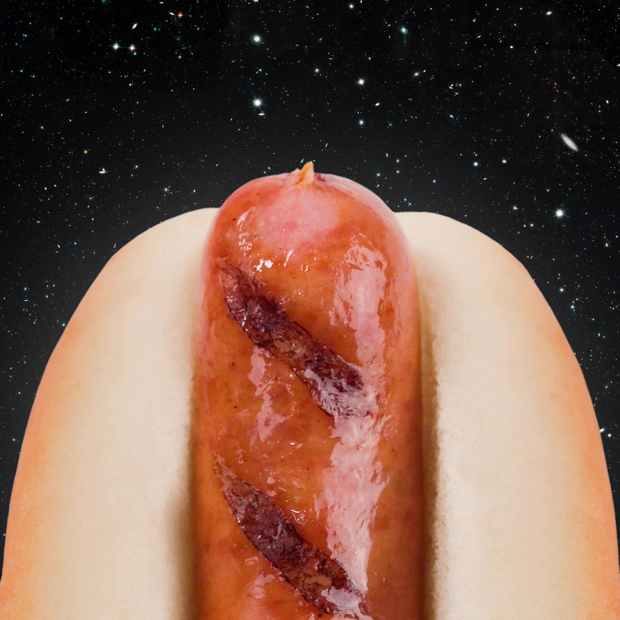World's Longest Hot Dog
