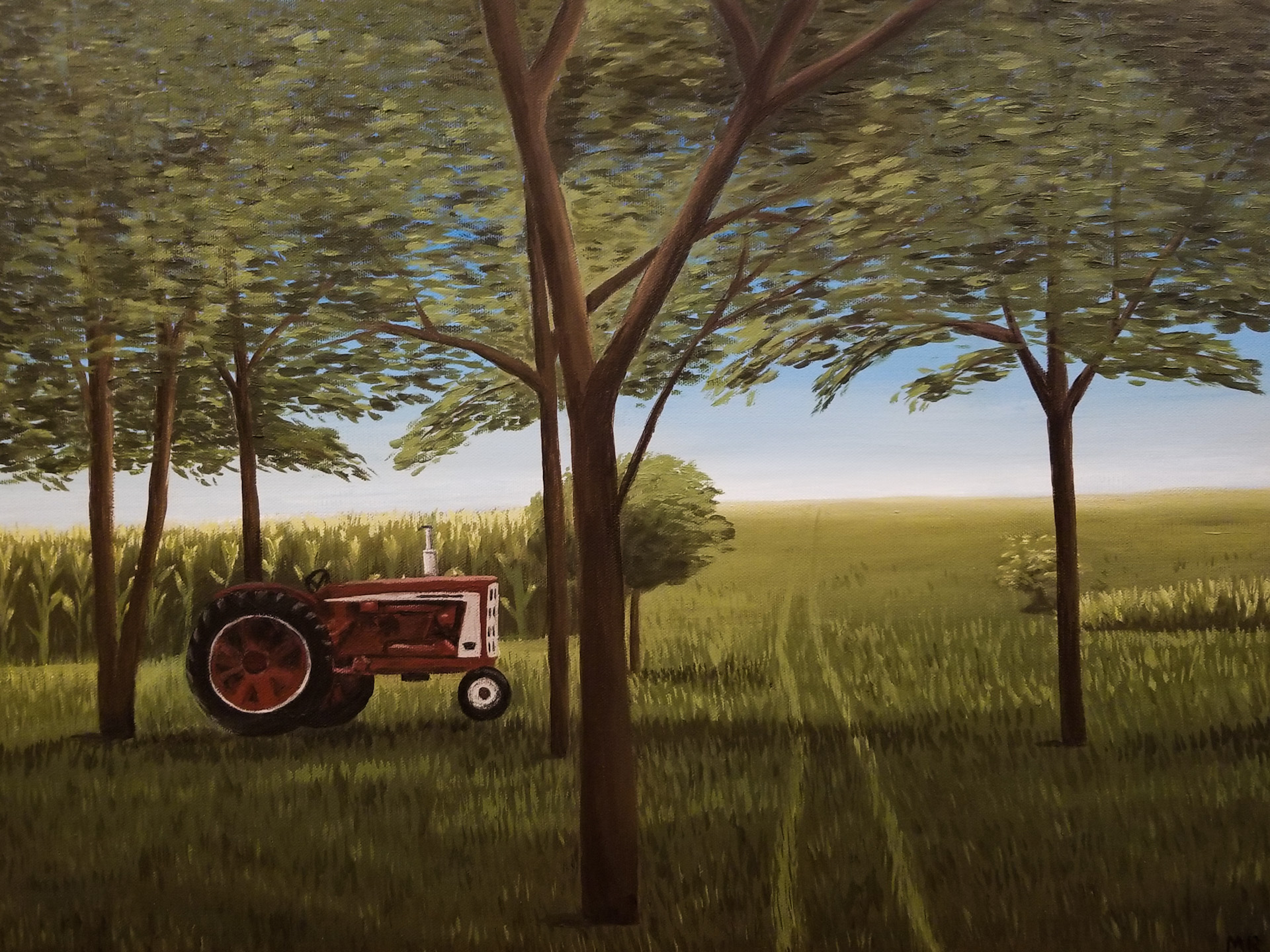 Farmall Under the Walnut Trees