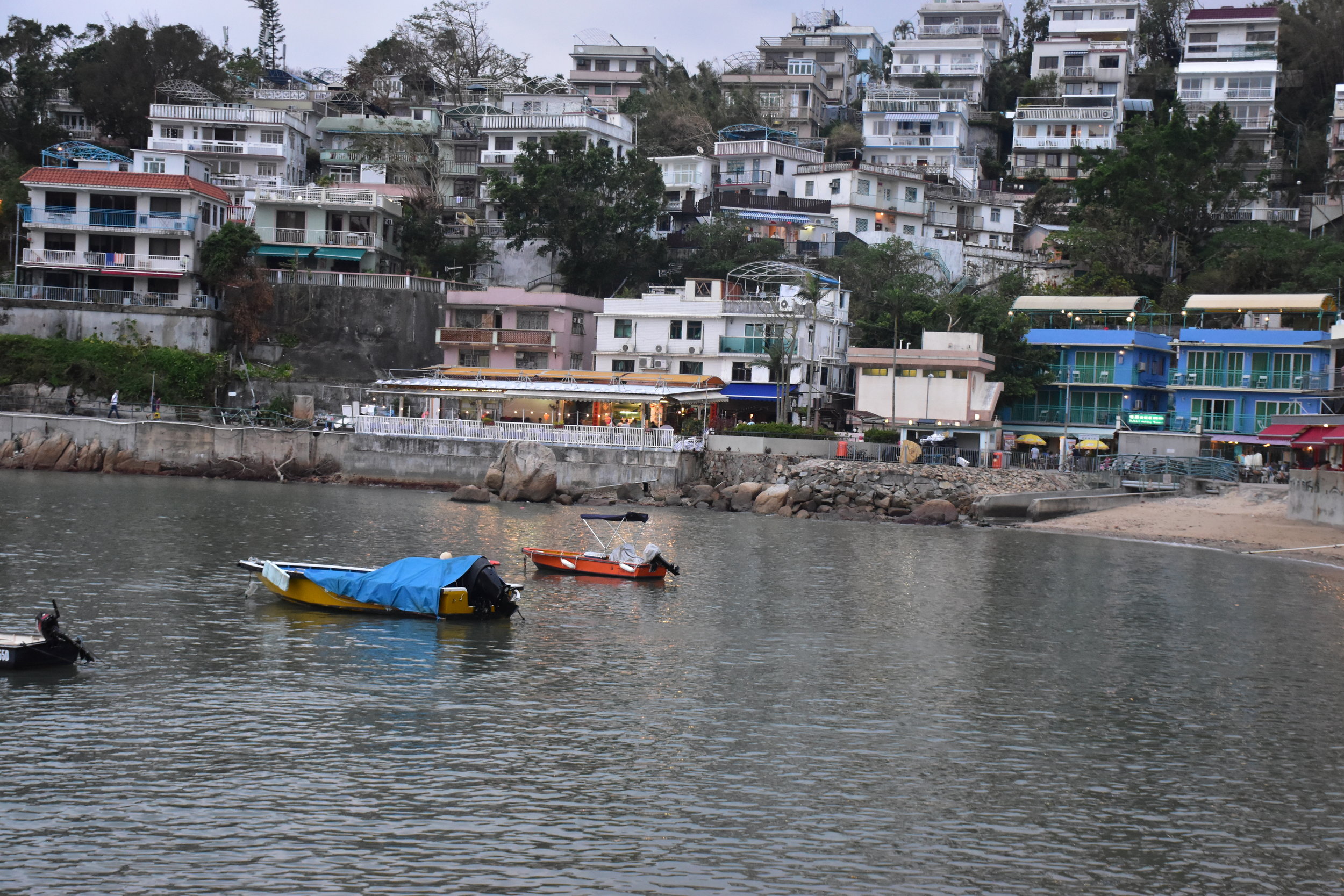 DSC_0483.JPG