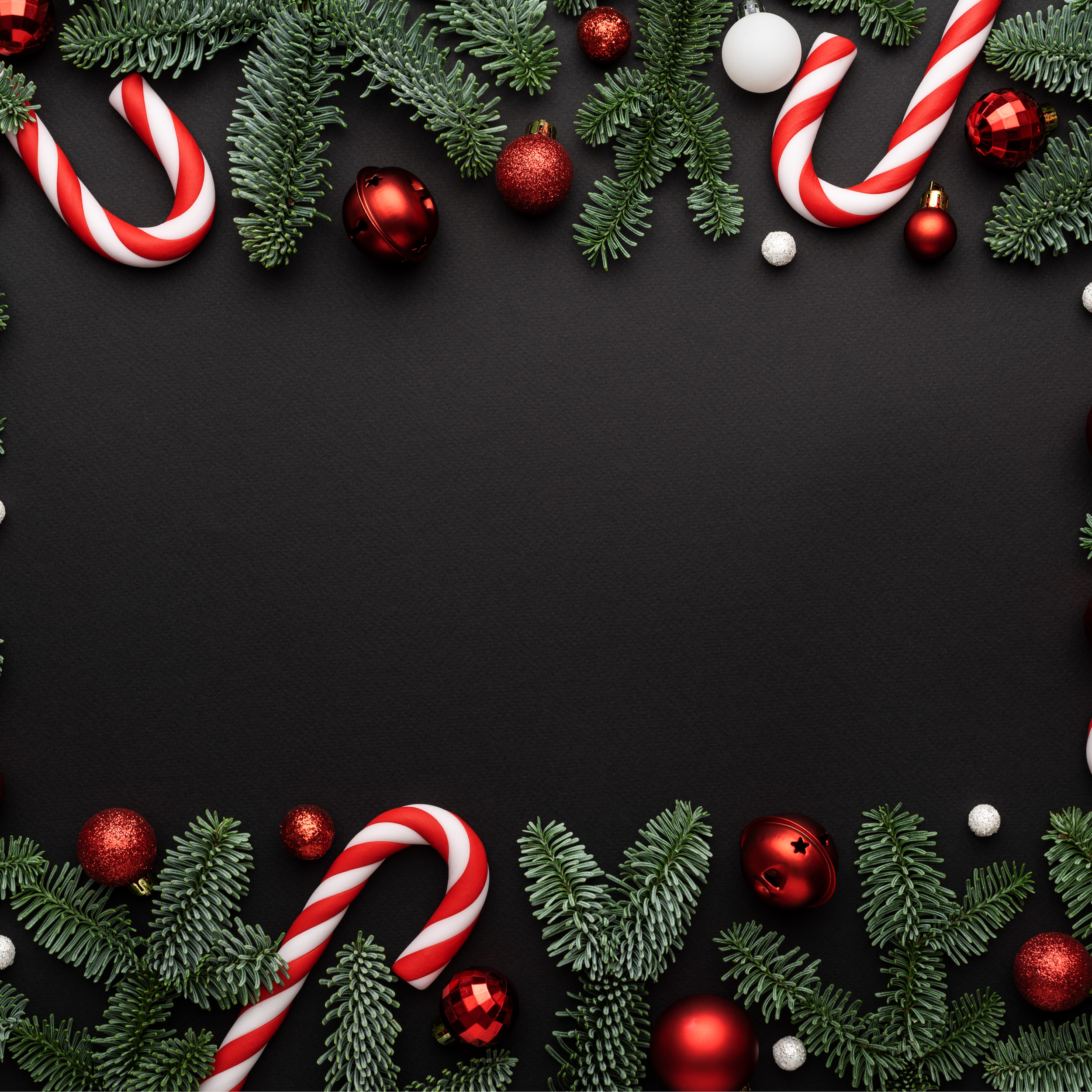 Copy of CHRISTMAS TIME MINI SESSION.png