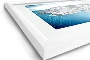 white reg frame.jpeg