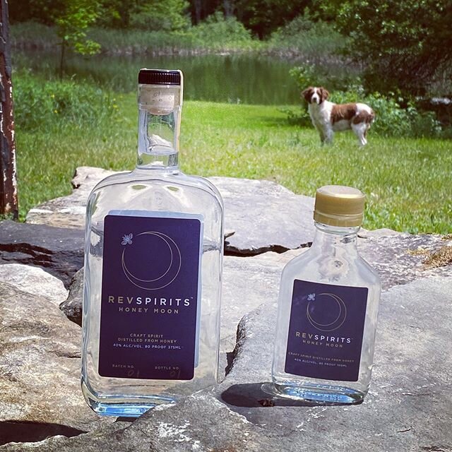 When I grow up I want to be just like you!  #madefromhoney #craftdistillery #nydistilled #rolemodel #distillerydog