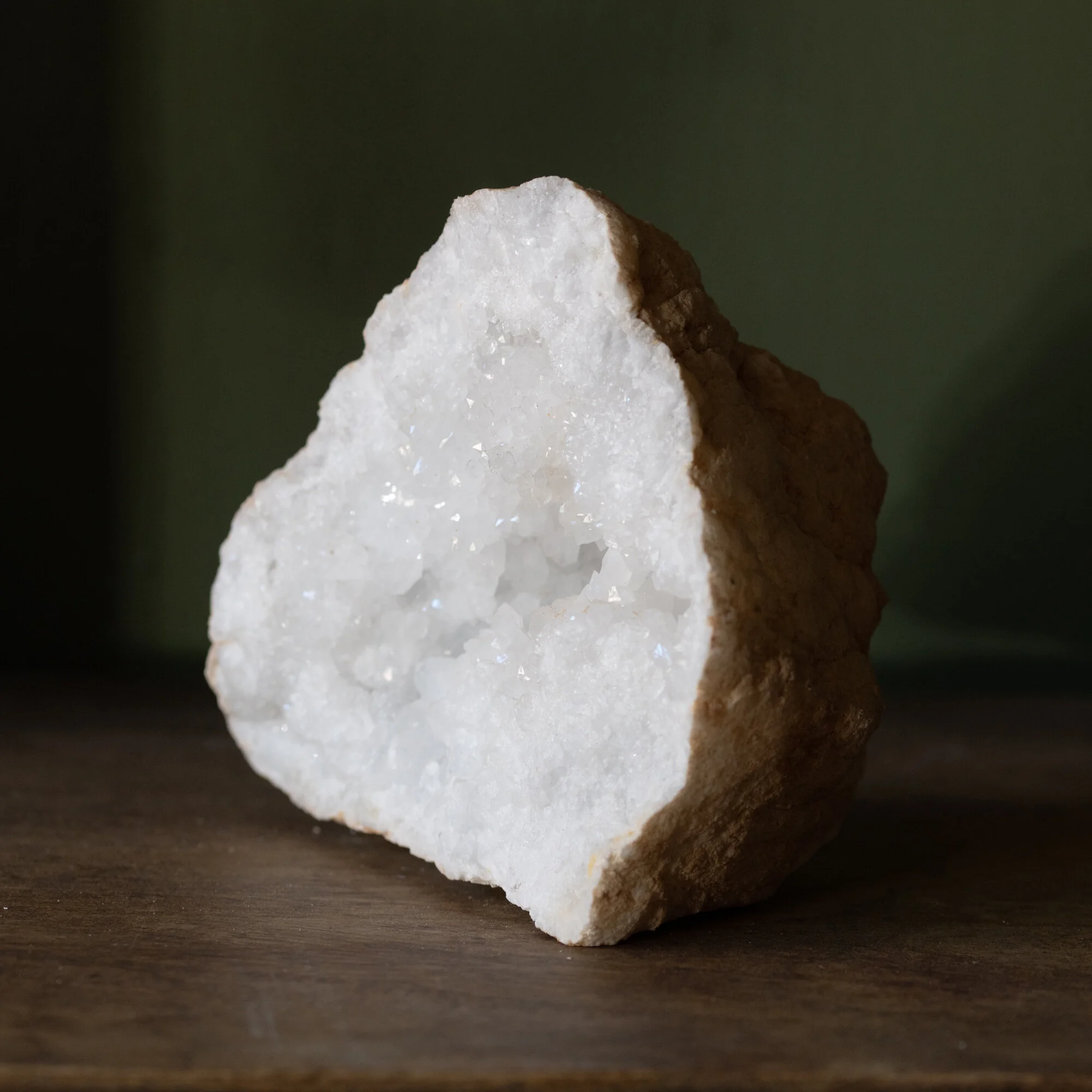 Rare Fossilized Clam Shell — The Good Bower