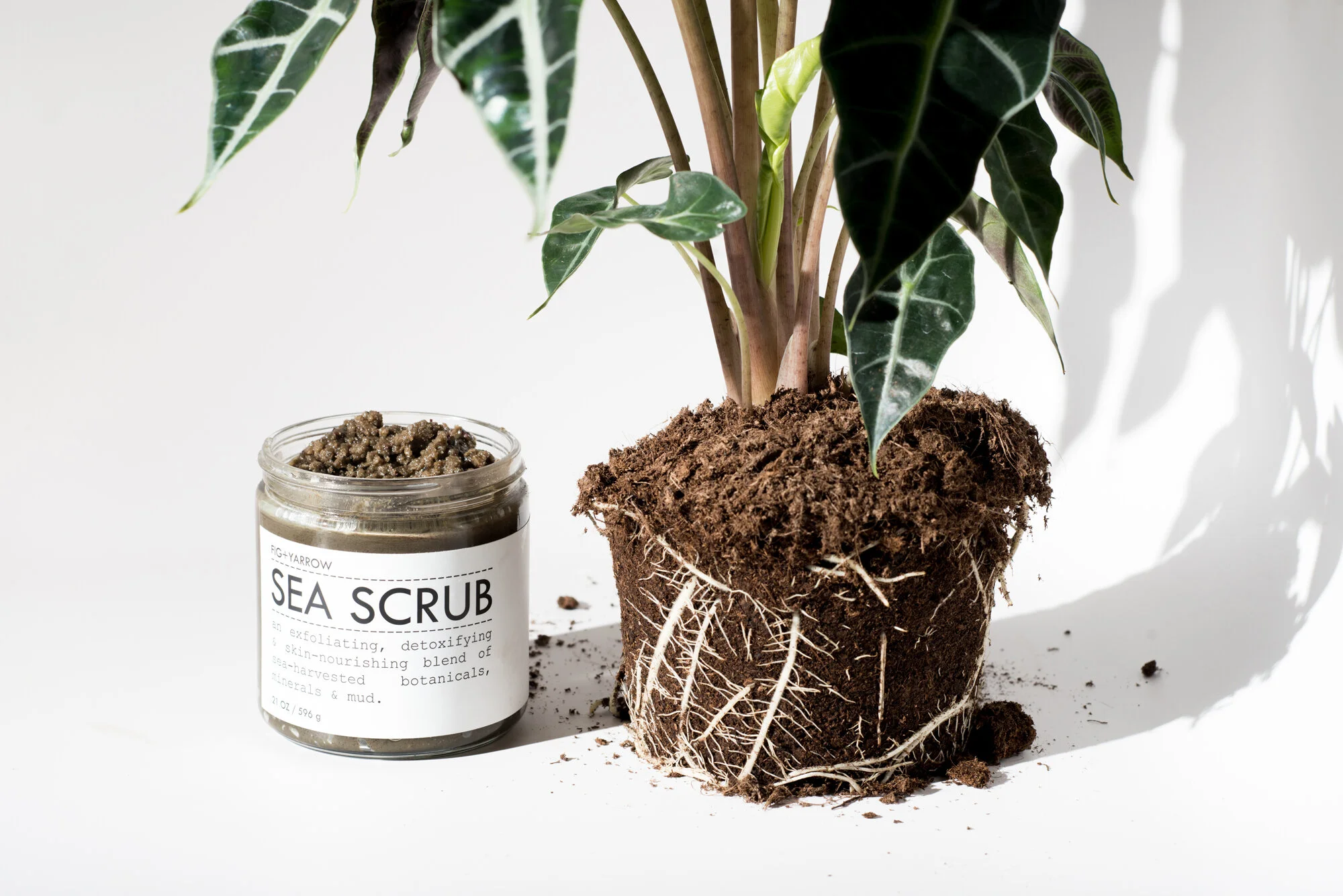 Mini Sea Scrub — The Good Bower